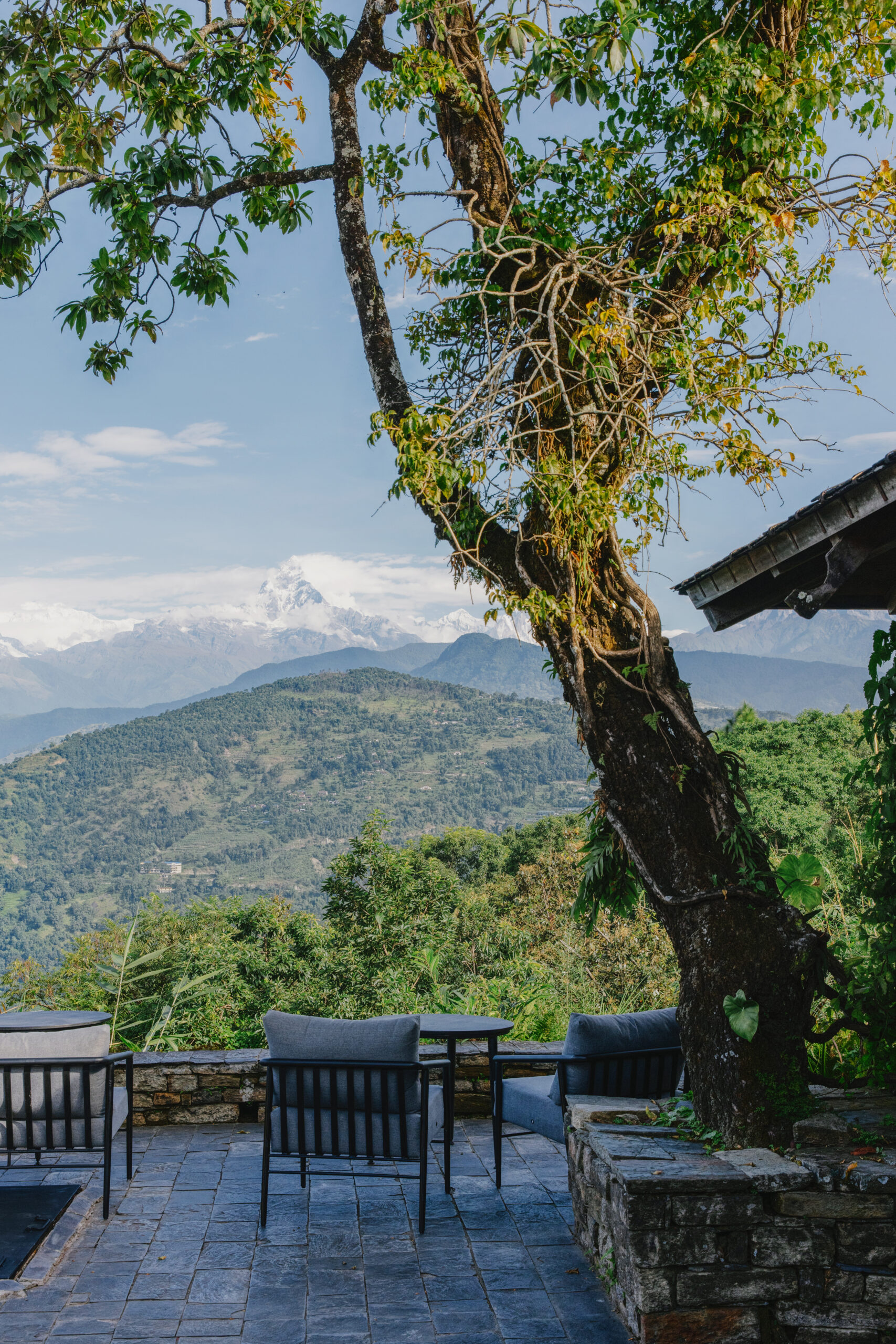 Patio with chairs overlooking mountains and a tree in the foreground.