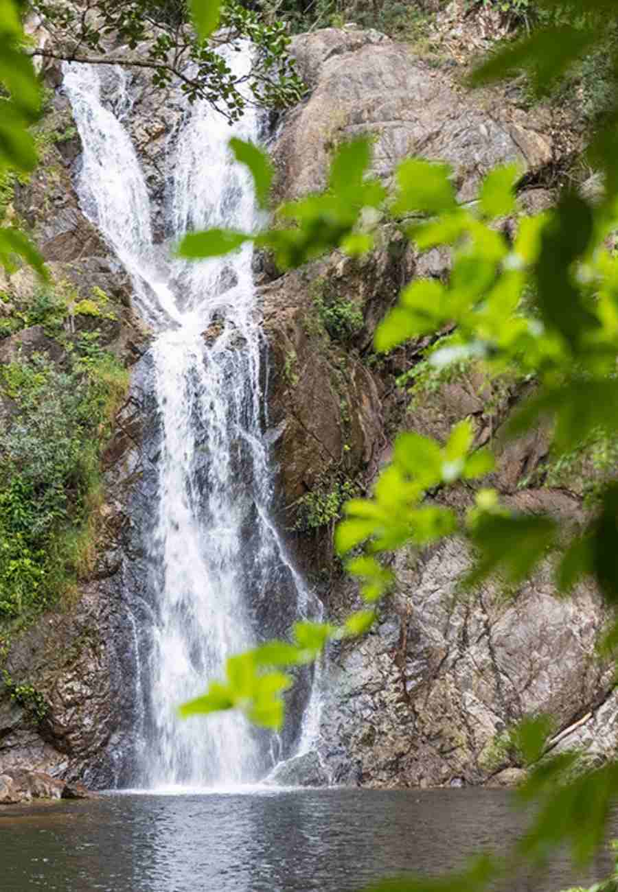 Ka'ana
