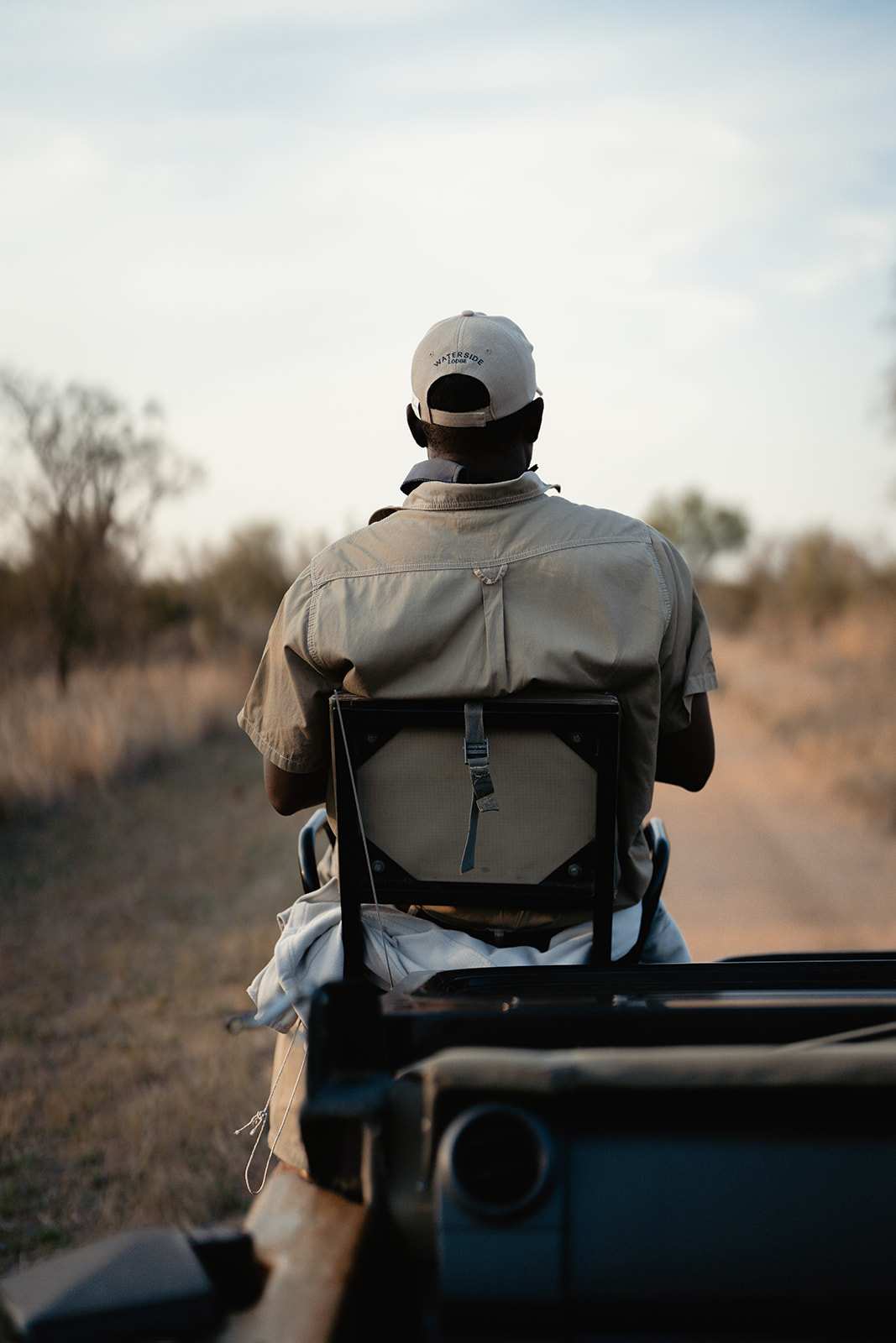 Thornybush Game Lodge