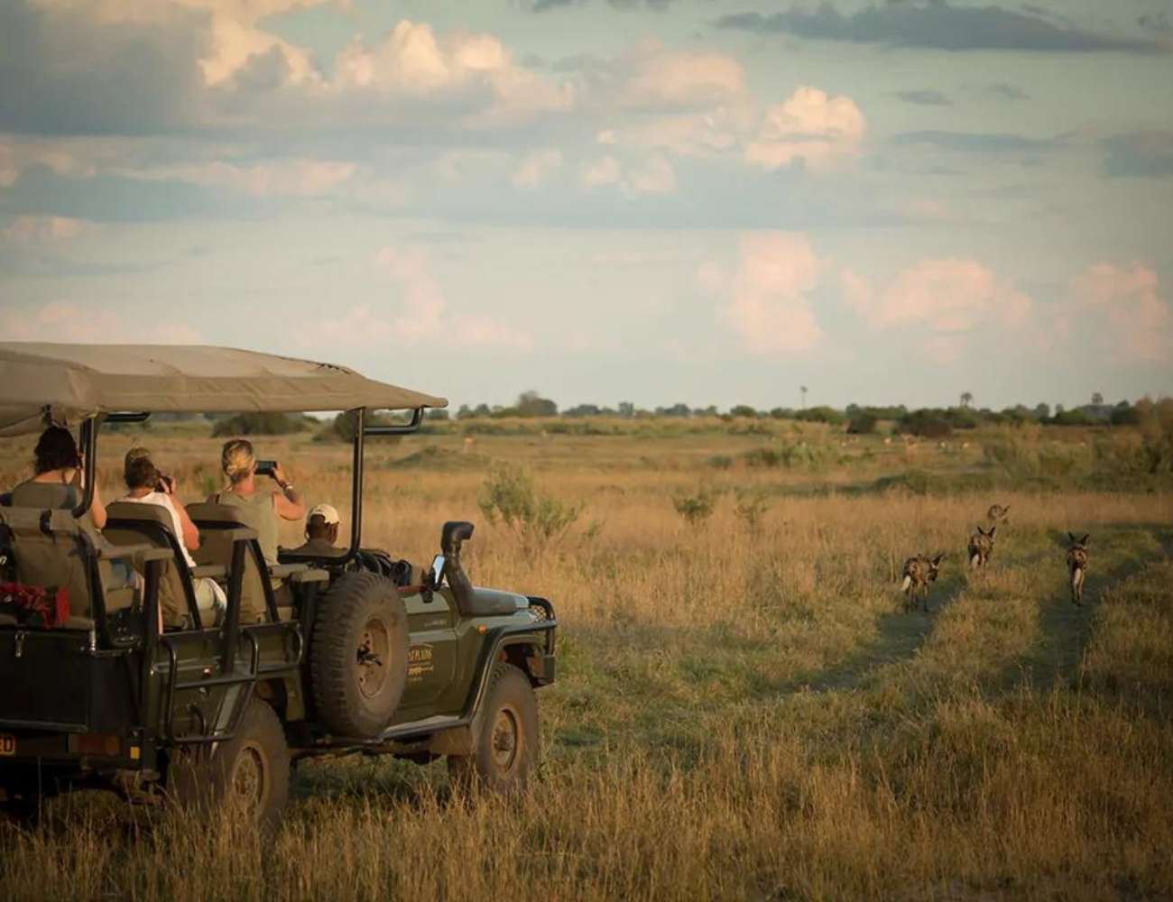 Duba Plains