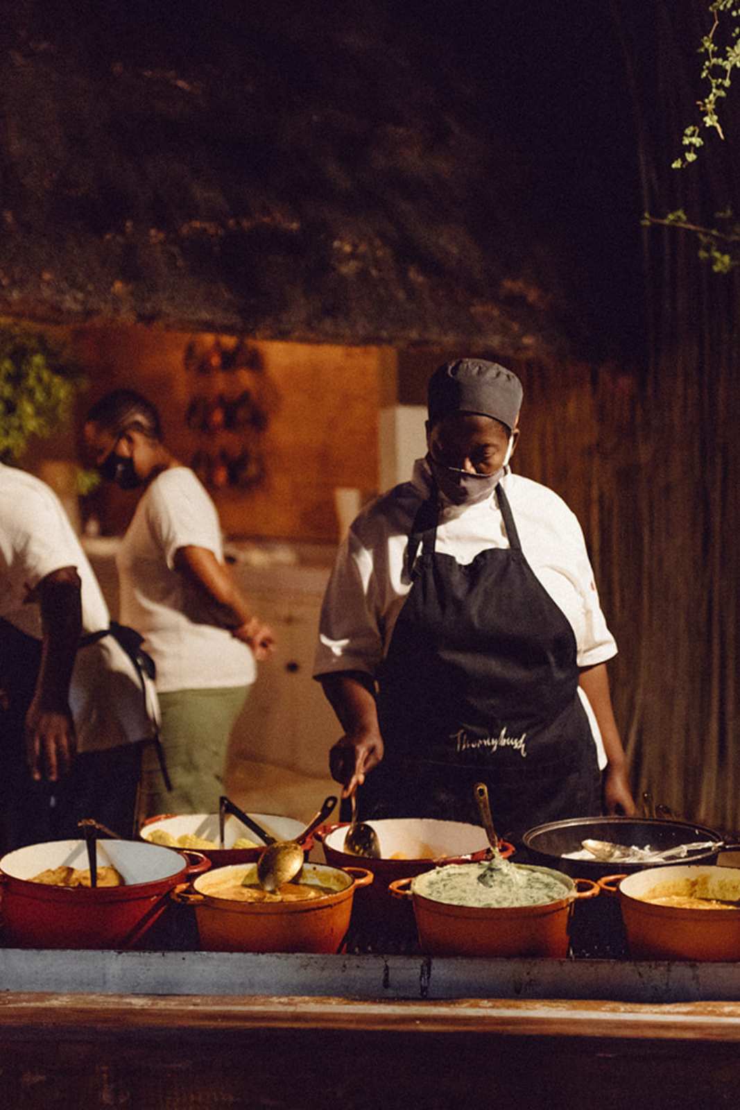 Thornybush Game Lodge