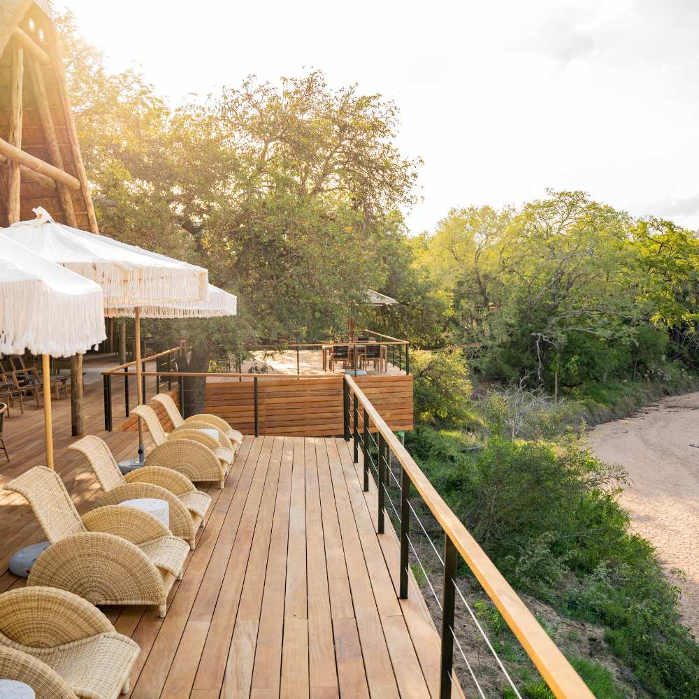 Thornybush Game Lodge