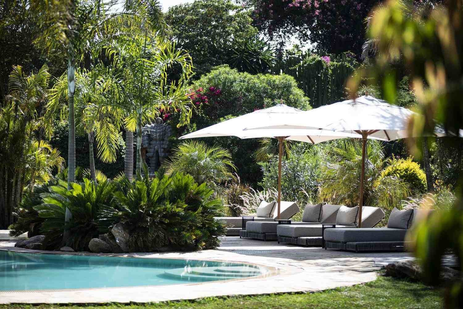 Outdoor swimming pool surrounded by tropical palm trees, with cushioned sun loungers and white umbrellas.