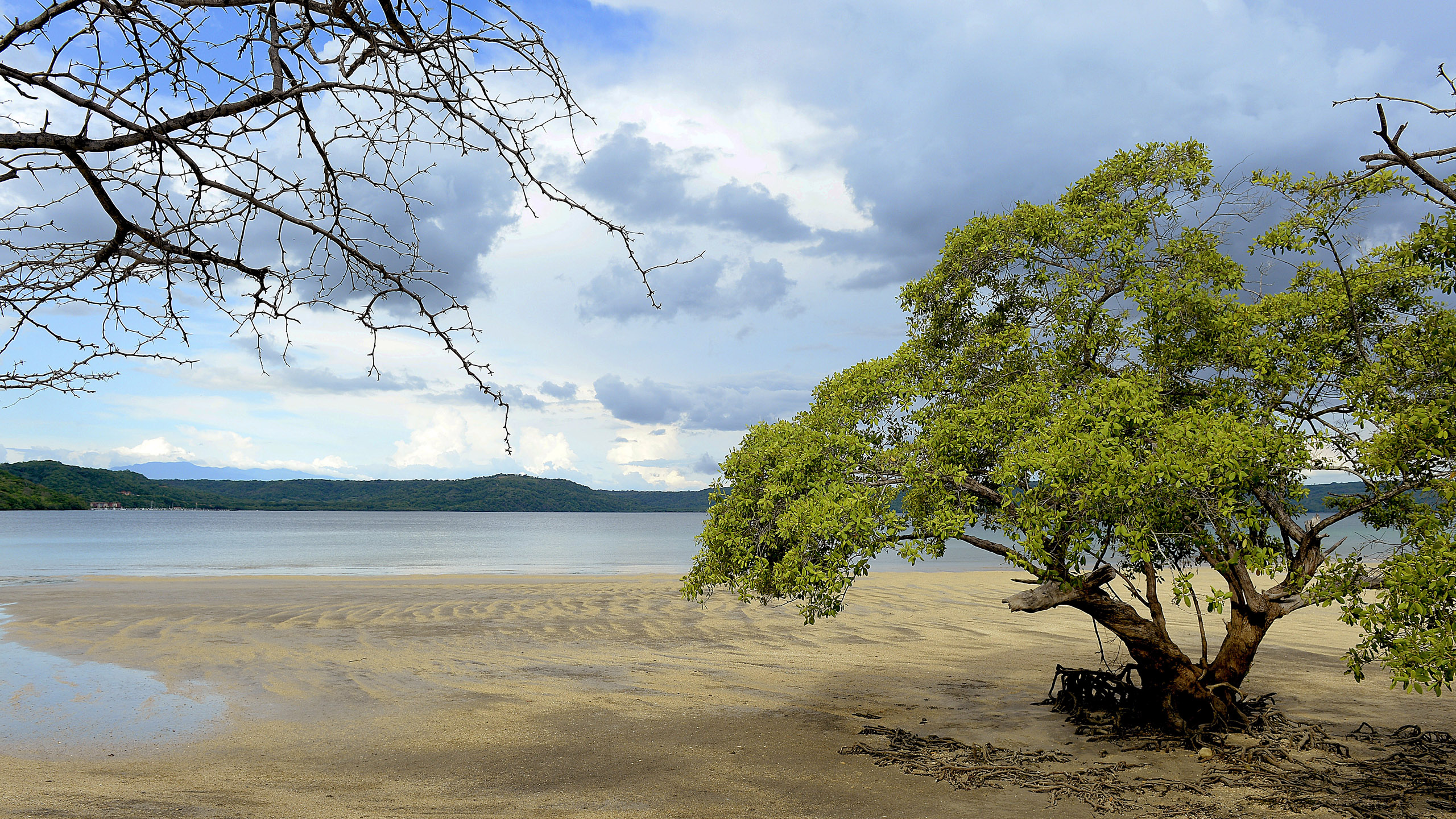 Andaz Papagayo