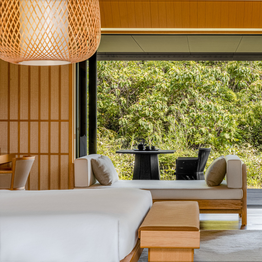 Amanemu