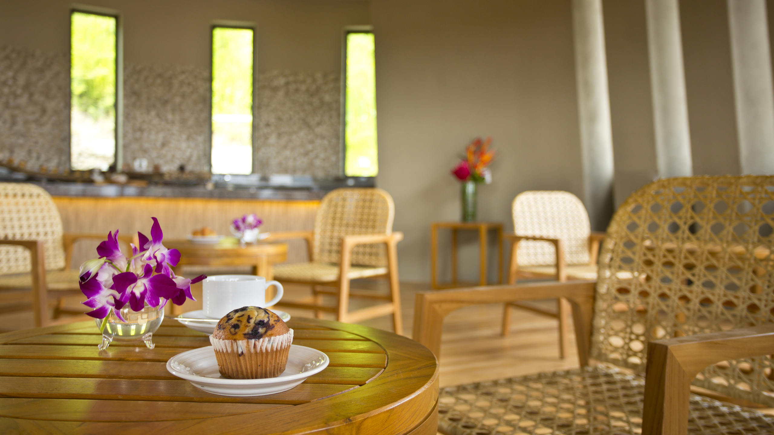 Andaz Papagayo