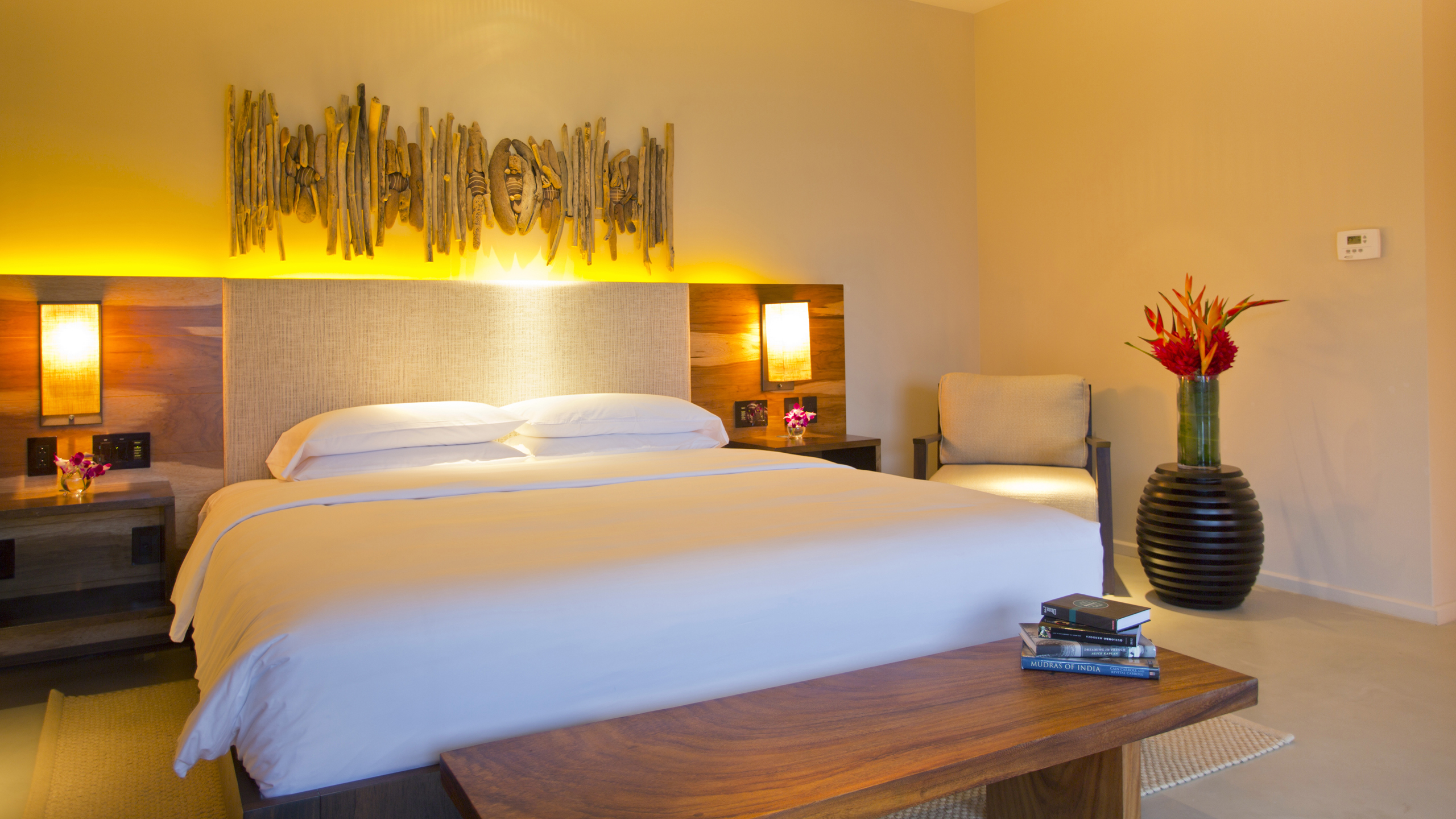 Andaz Papagayo