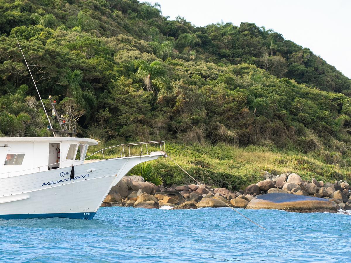 Awasi Santa Catarina