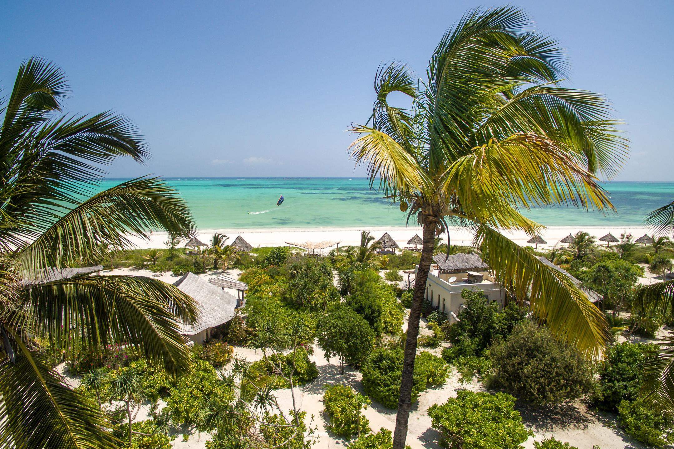 Tropical beach resort with palm trees overlooking a turquoise ocean.