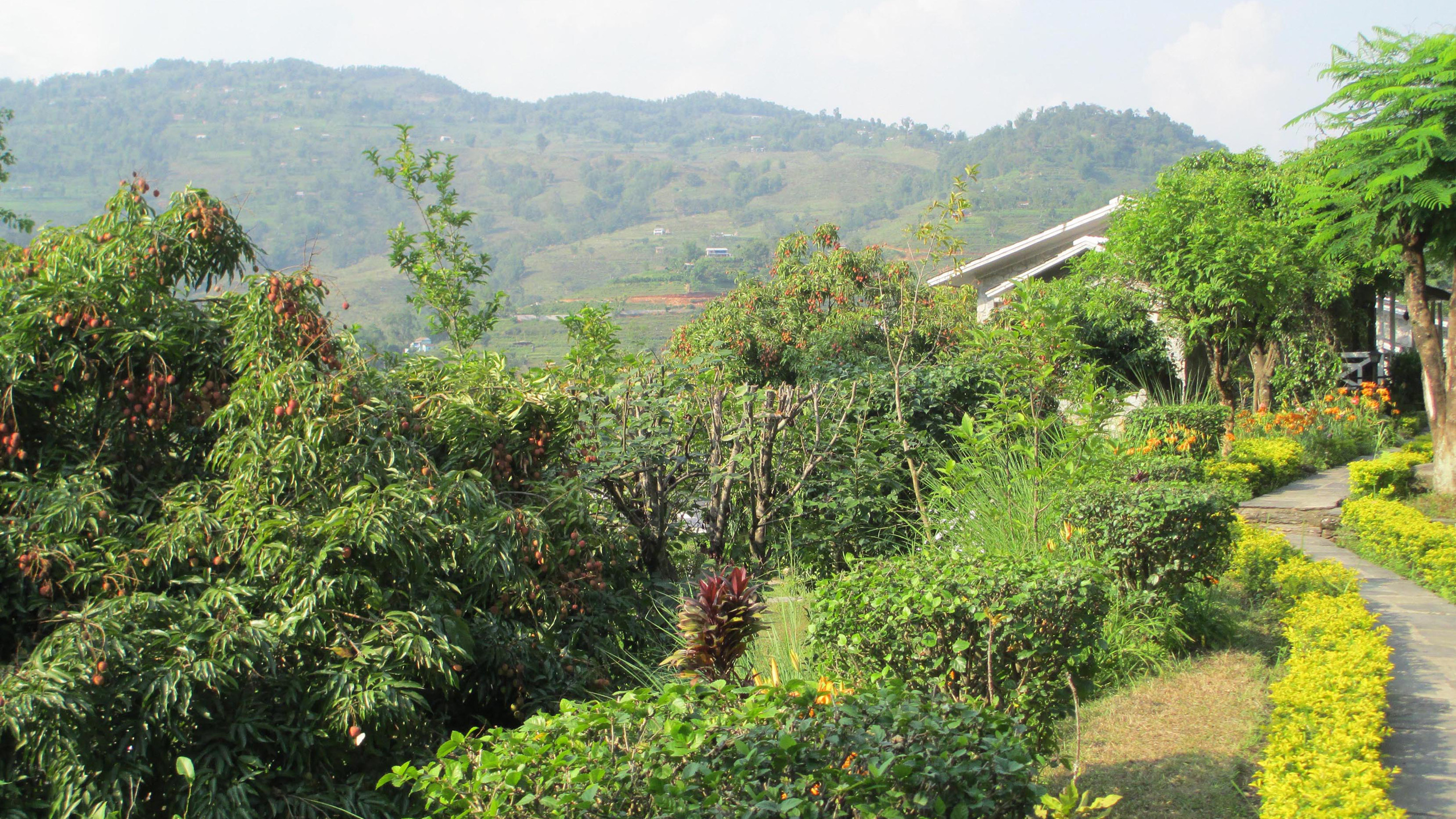 Begnas Lake Resort