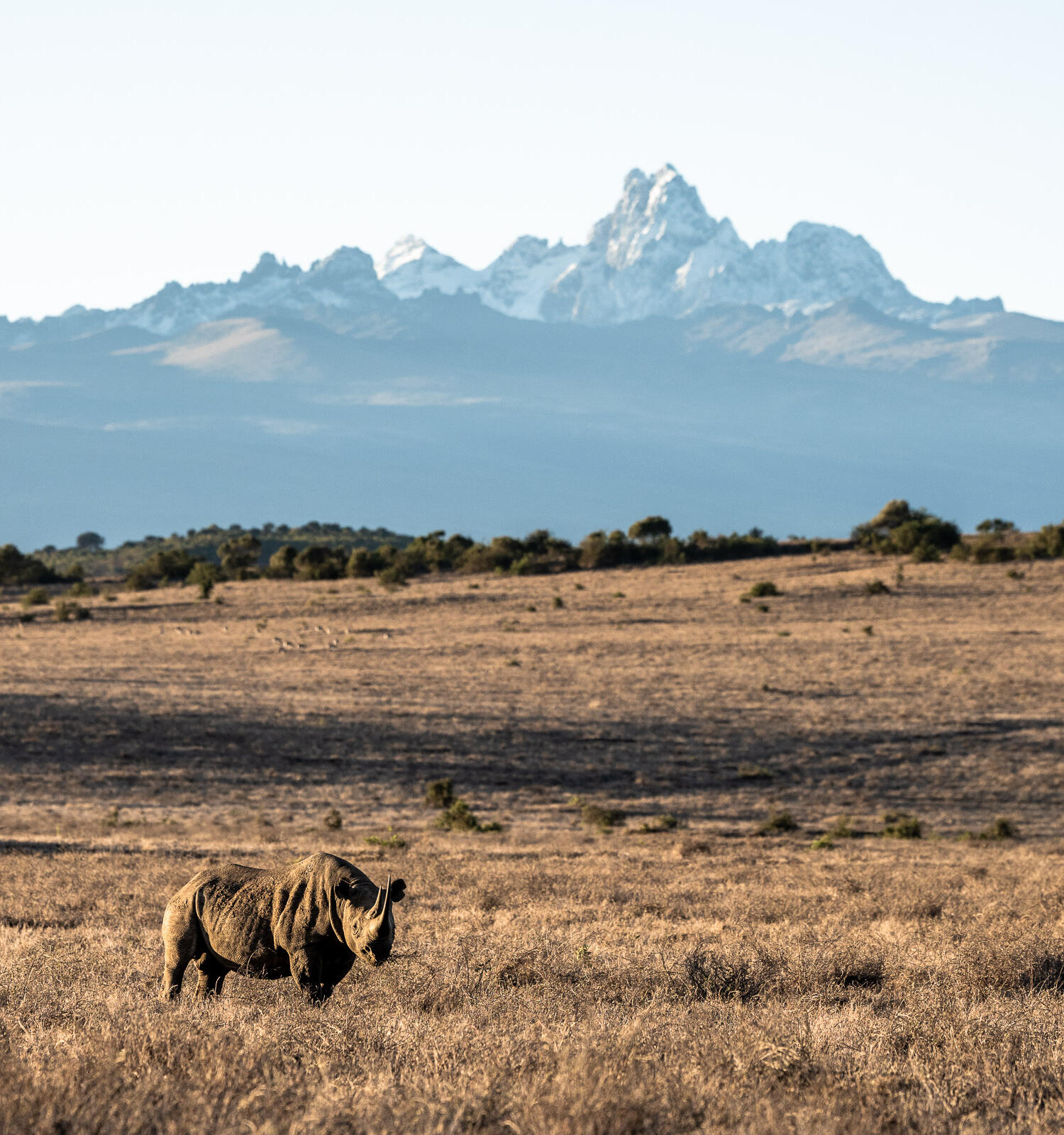 Borana Lodge