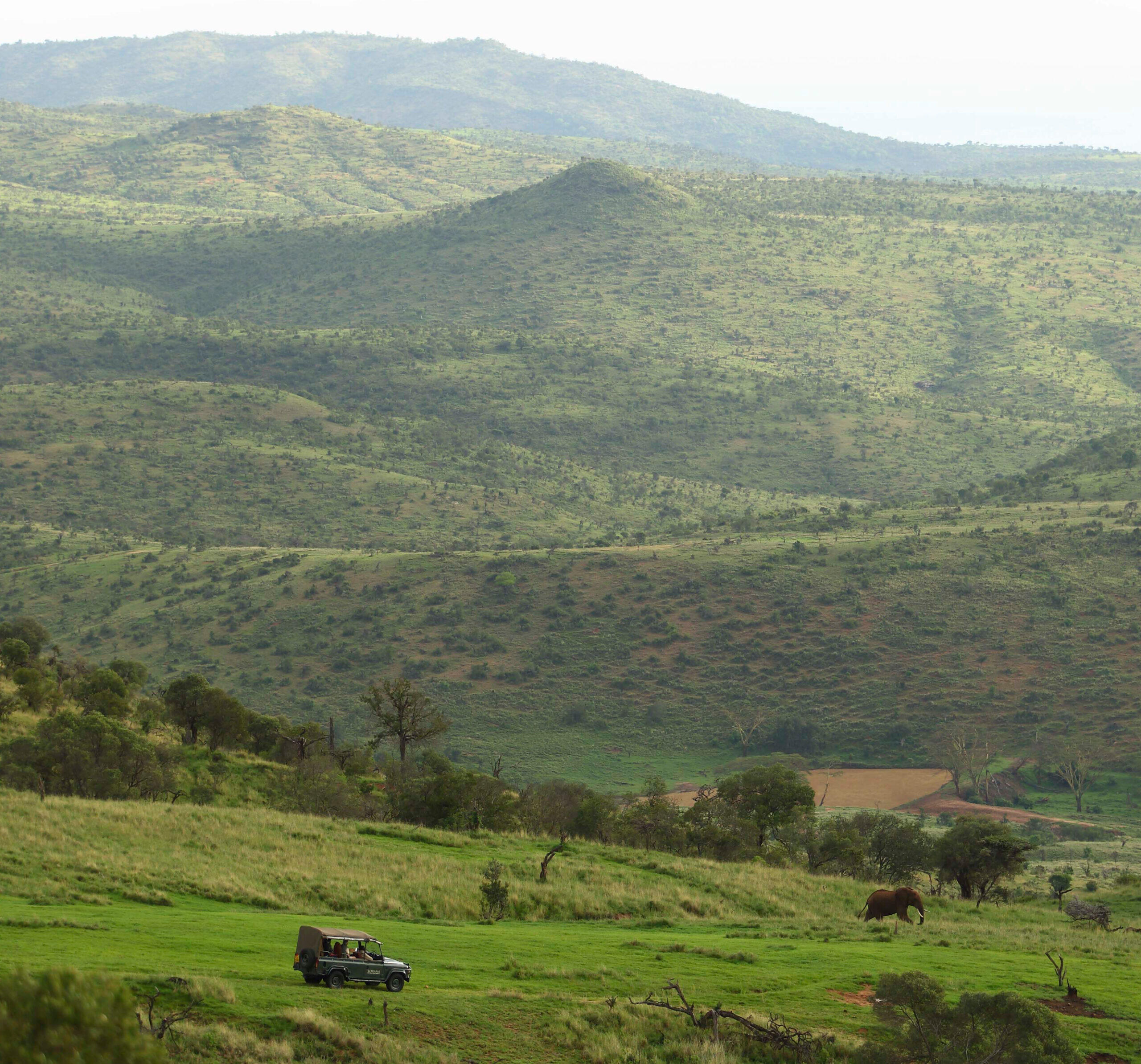 Borana Lodge