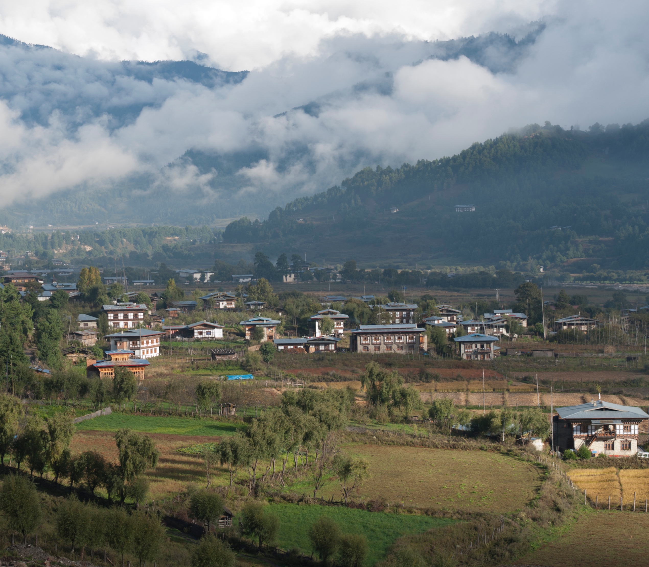 Bumthang Mountain Resort