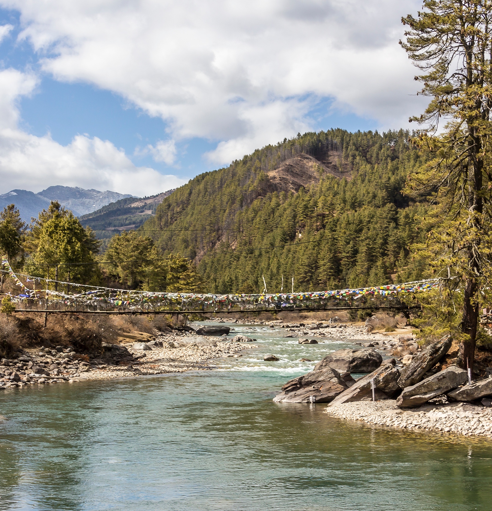 Bumthang Mountain Resort