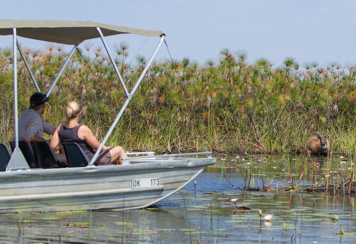 Camp Okavango