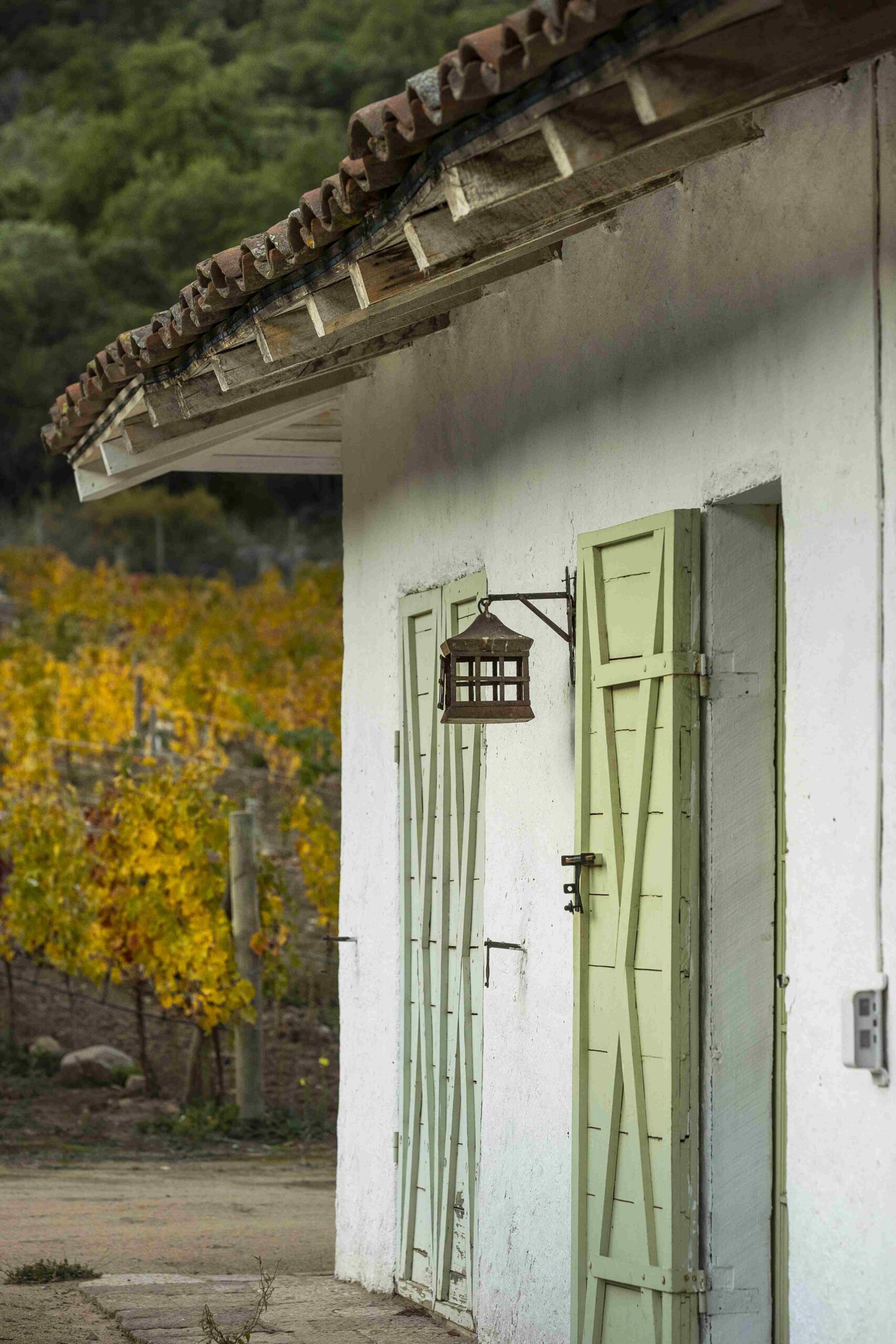 Clos Apalta Residence