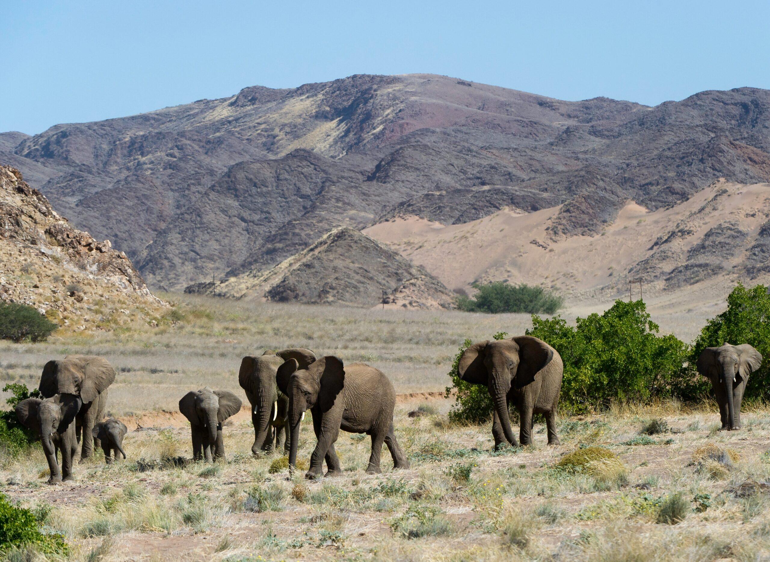 Wilderness Doro Nawas Camp
