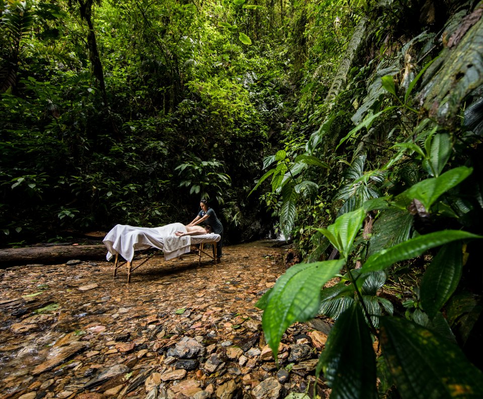 A person being massaged in the middle of a forest.