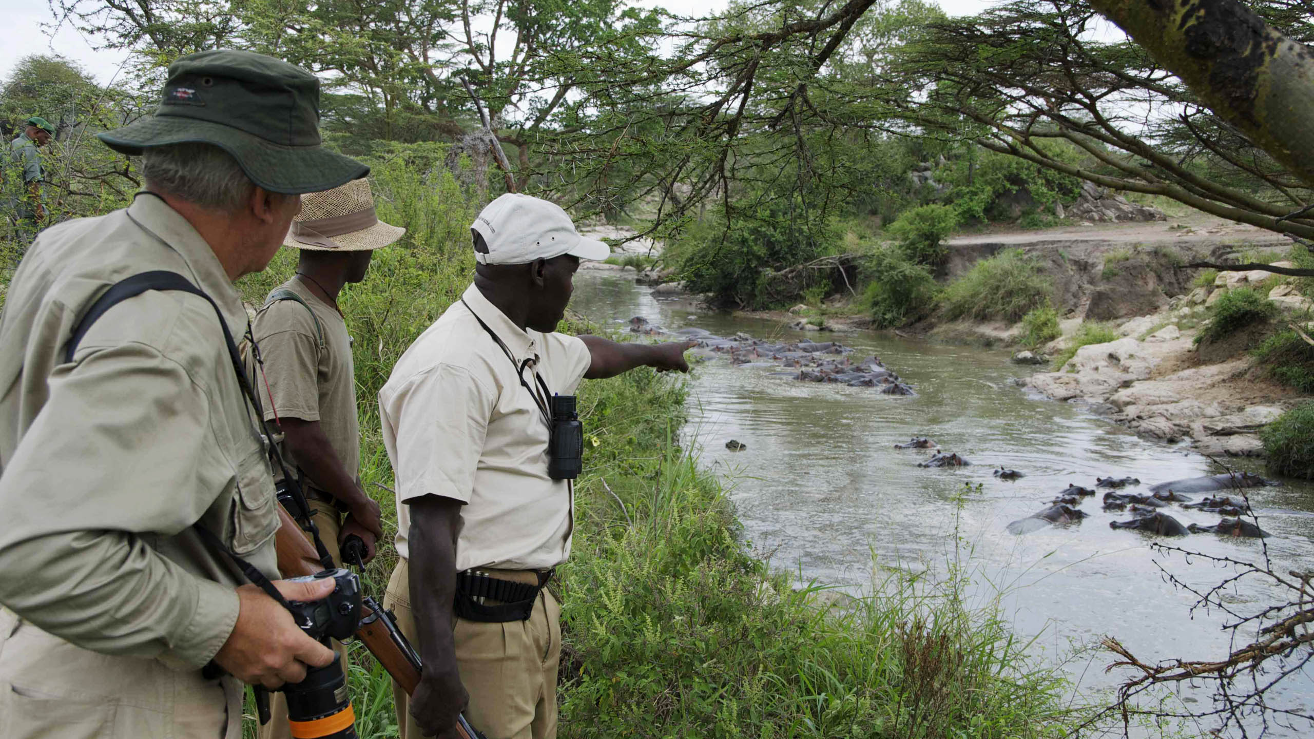 Elewana Serengeti Migration Camp