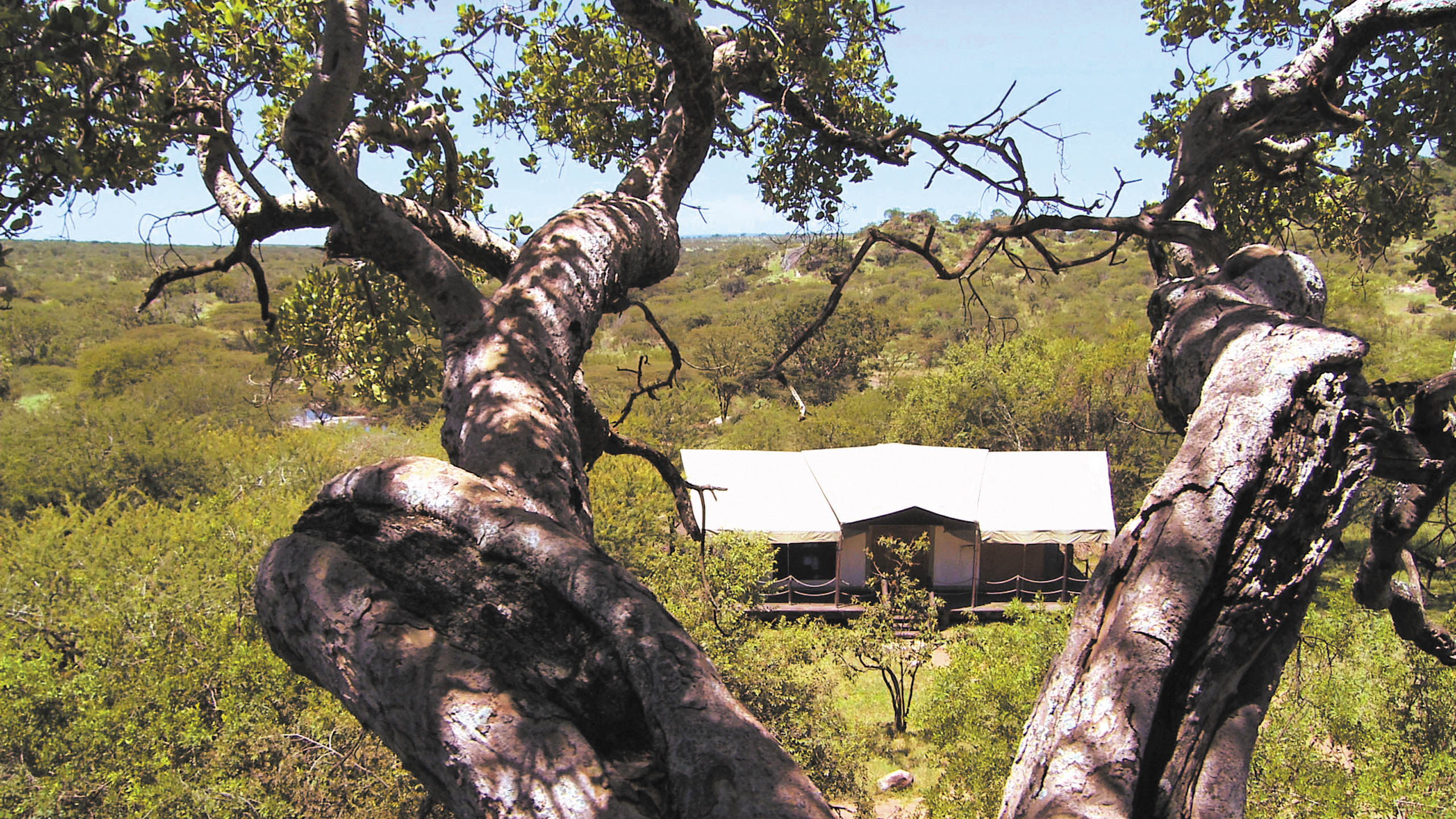 Elewana Serengeti Migration Camp