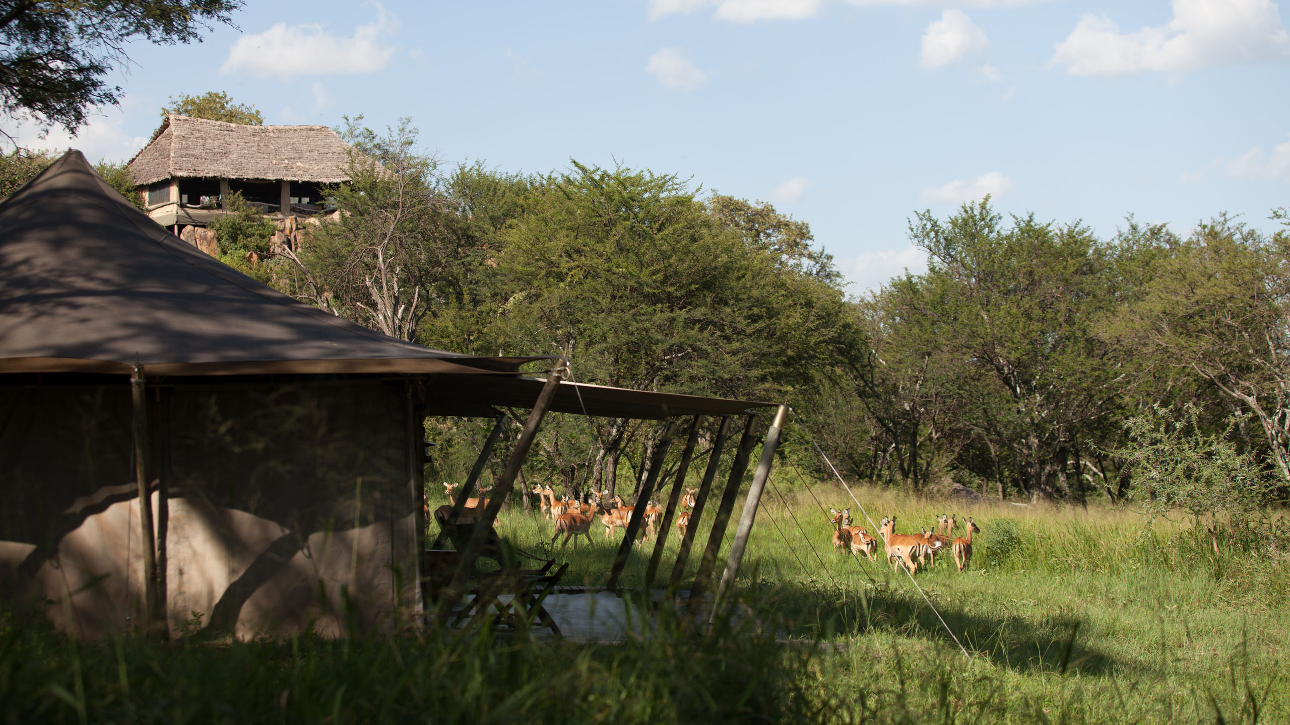 Serengeti Pioneer Camp