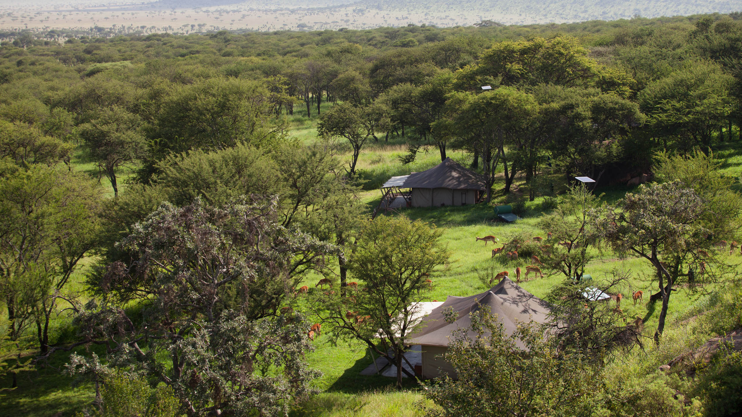 Serengeti Pioneer Camp