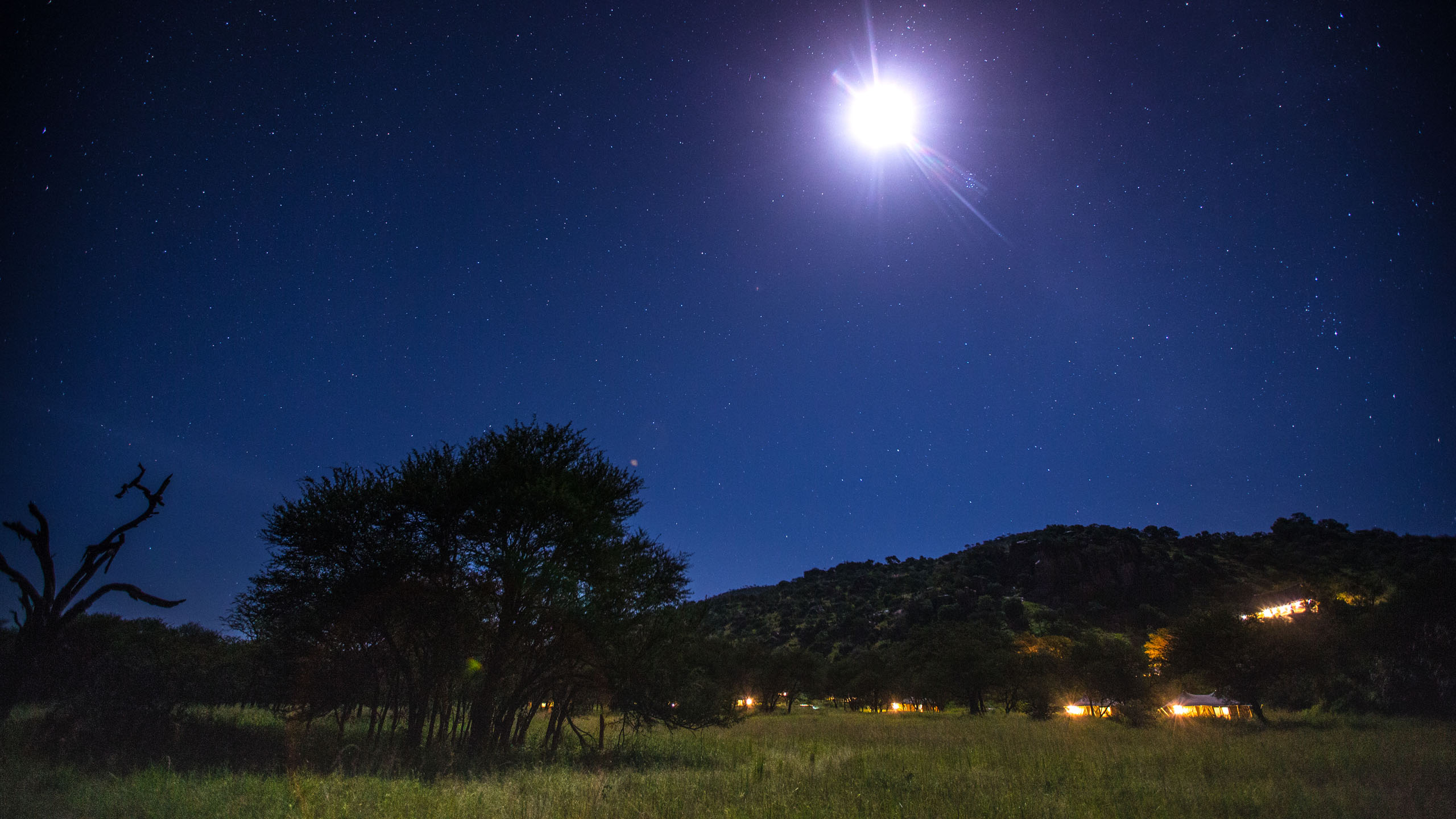 Serengeti Pioneer Camp