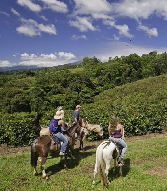 Finca Rosa Blanca