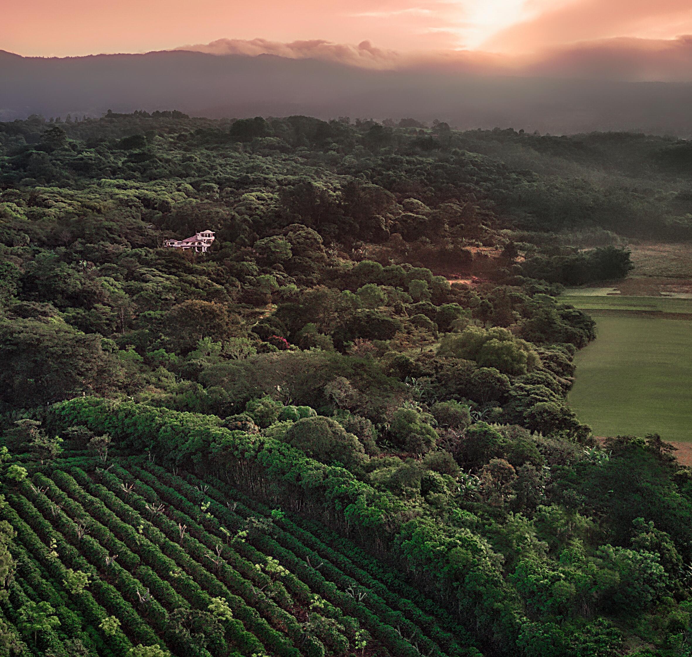 Finca Rosa Blanca