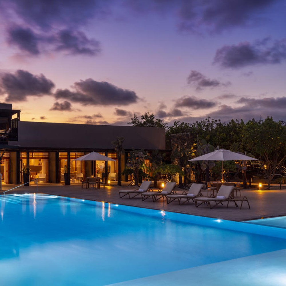 Finch Bay Eco Resort