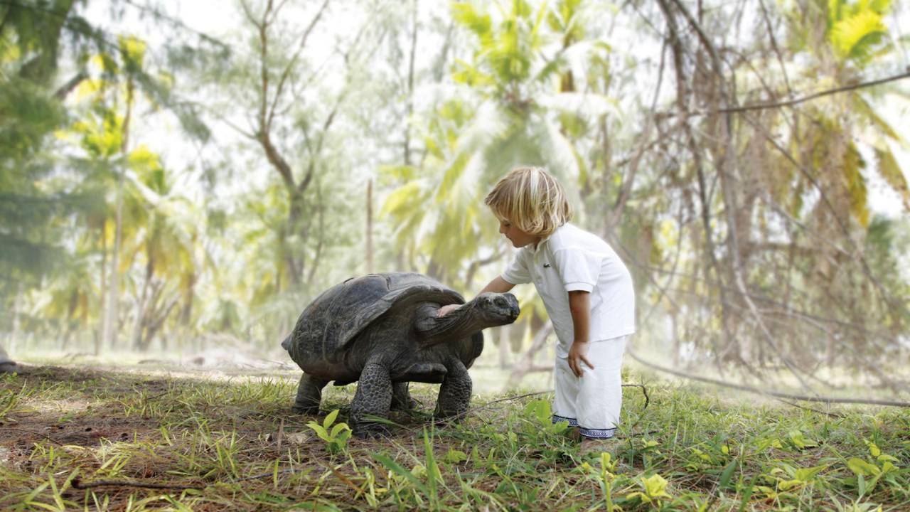 Four Seasons Resort Seychelles at Desroches Island