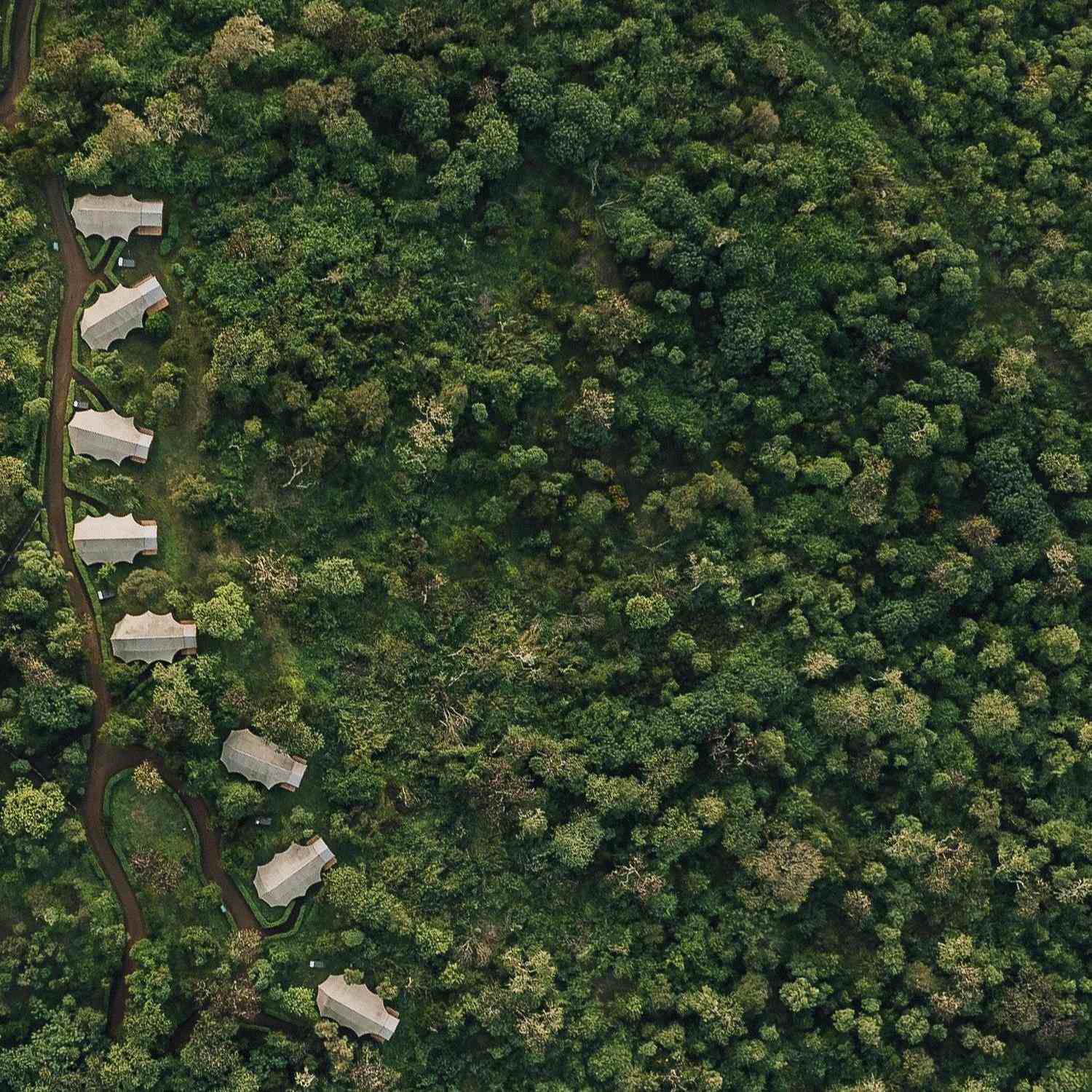 Aerial view of several canvas tents positioned along a path within a thick green forest.