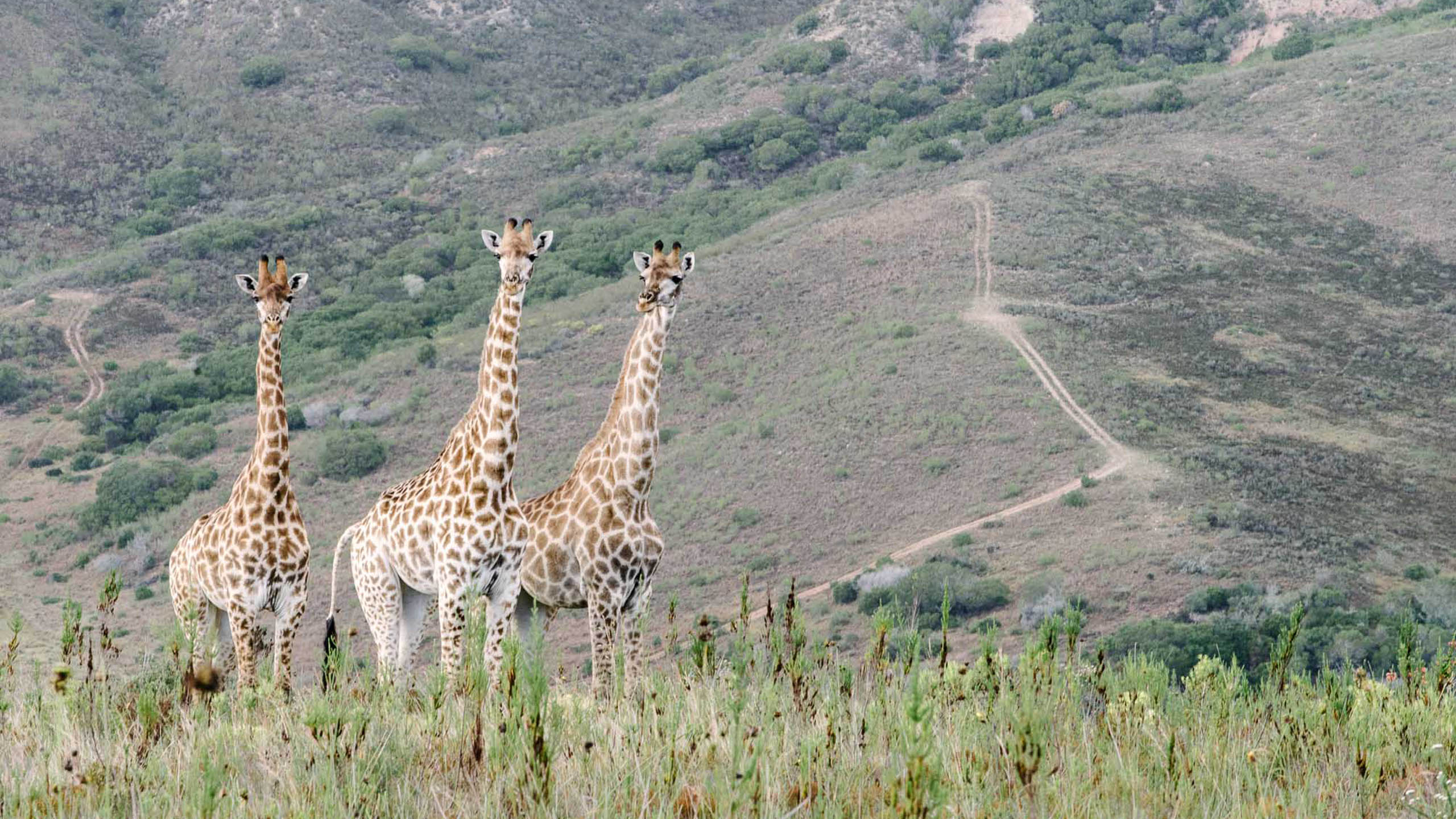 Gondwana Private Game Reserve
