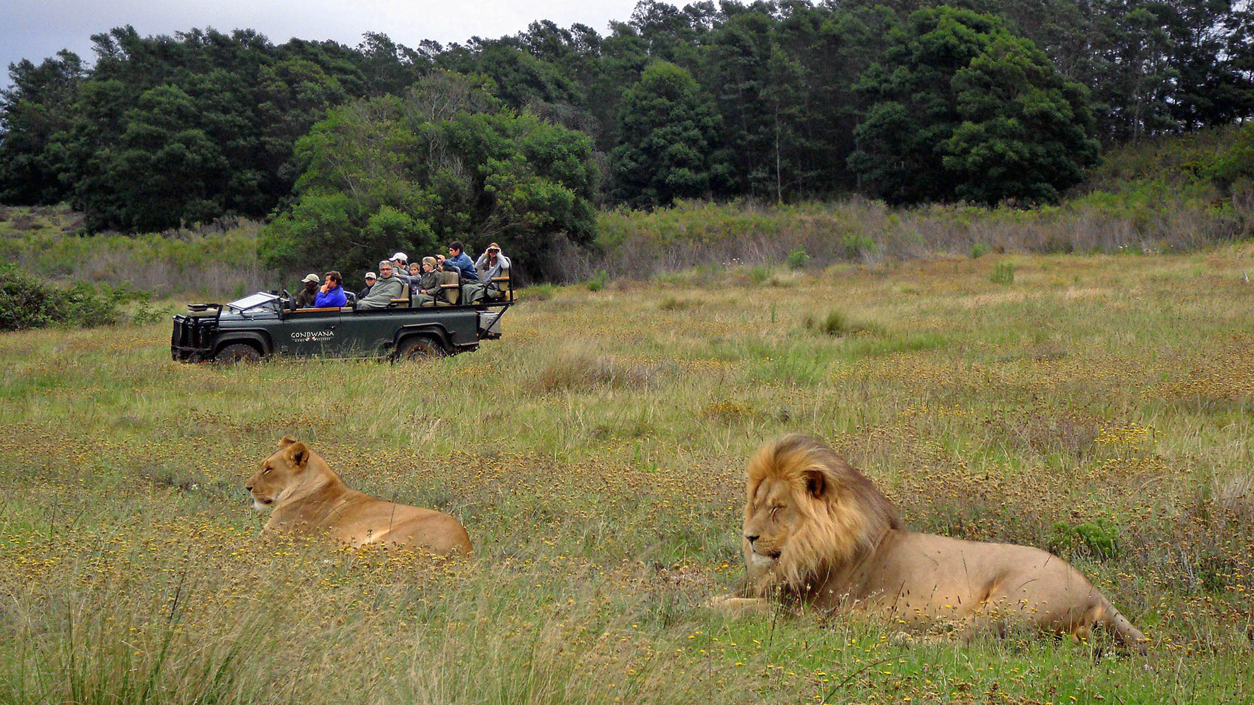 Gondwana Private Game Reserve