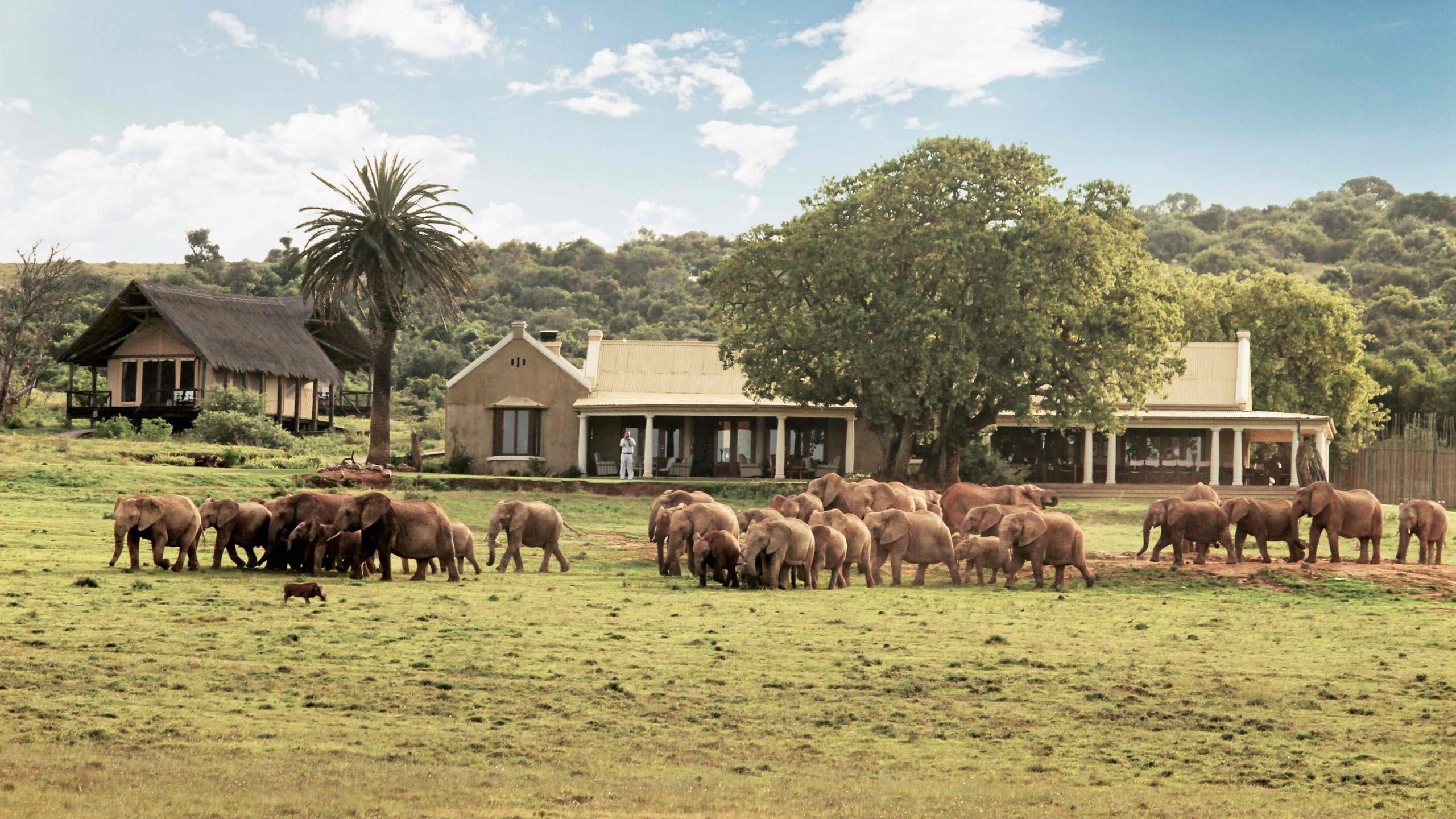 Gorah Elephant Camp