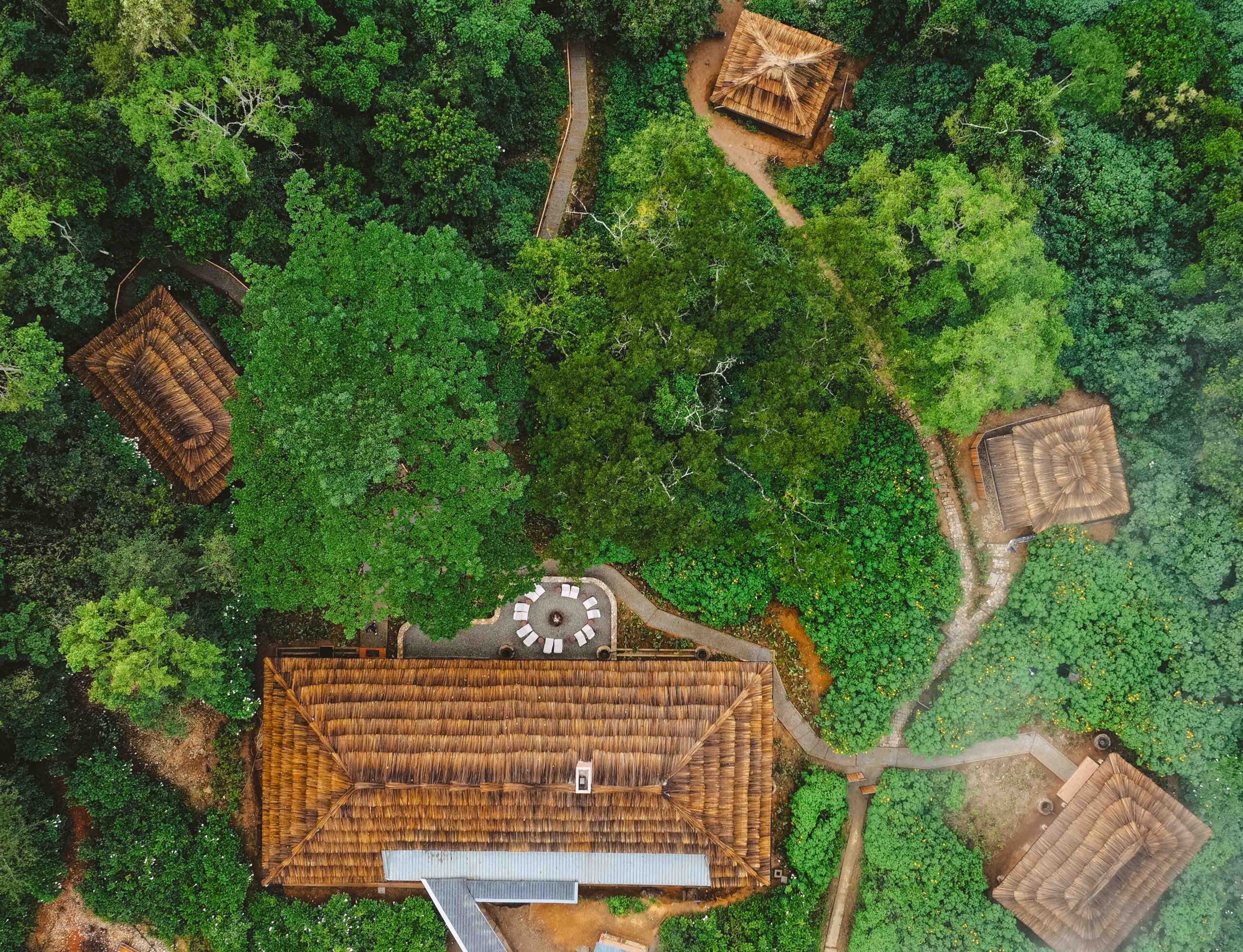 Sanctuary Gorilla Forest Lodge