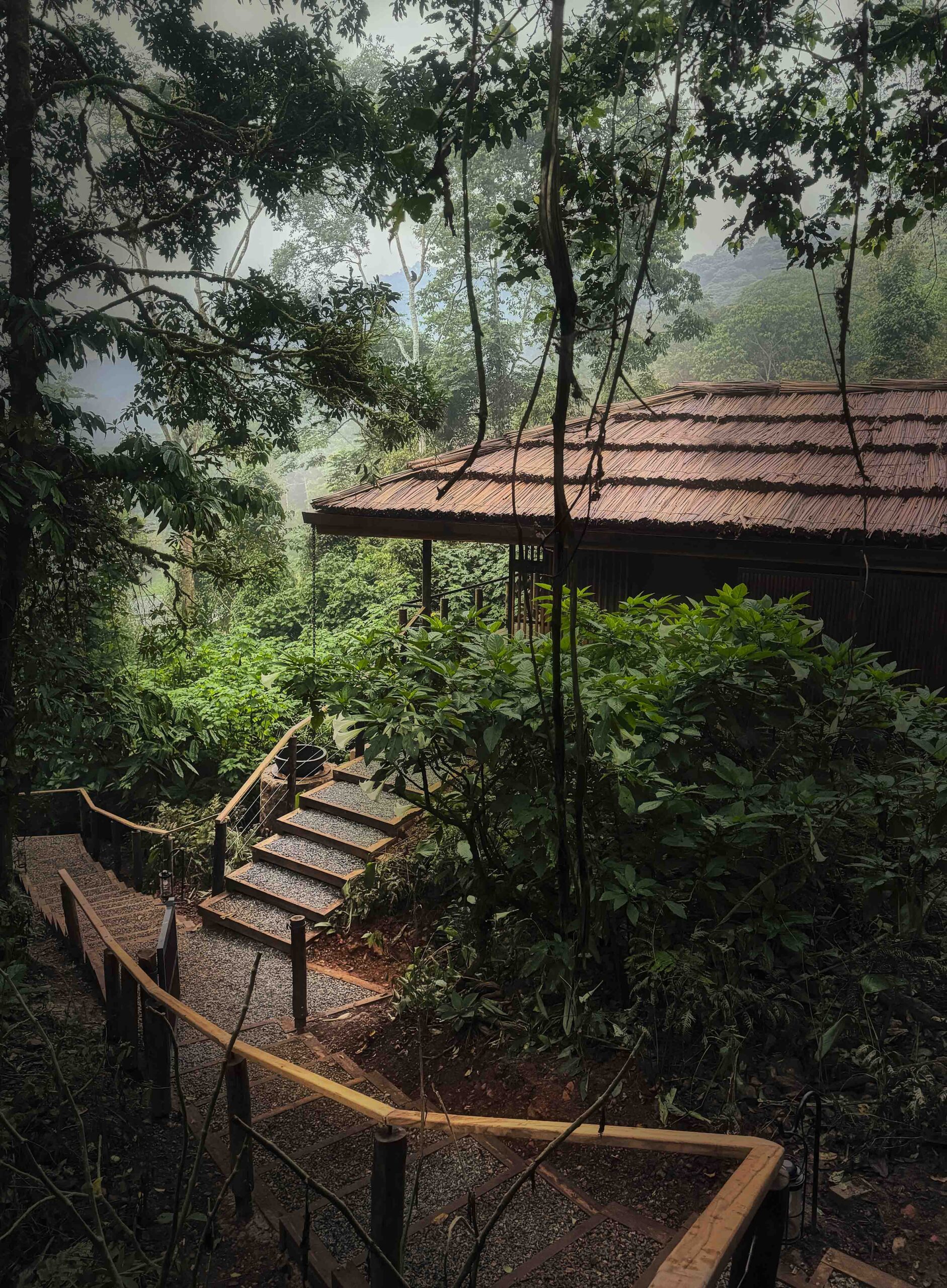Sanctuary Gorilla Forest Lodge