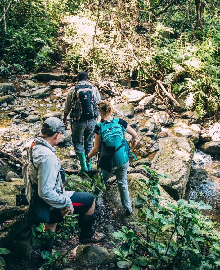 Three hikers crossing a rocky stream in a lush forest.