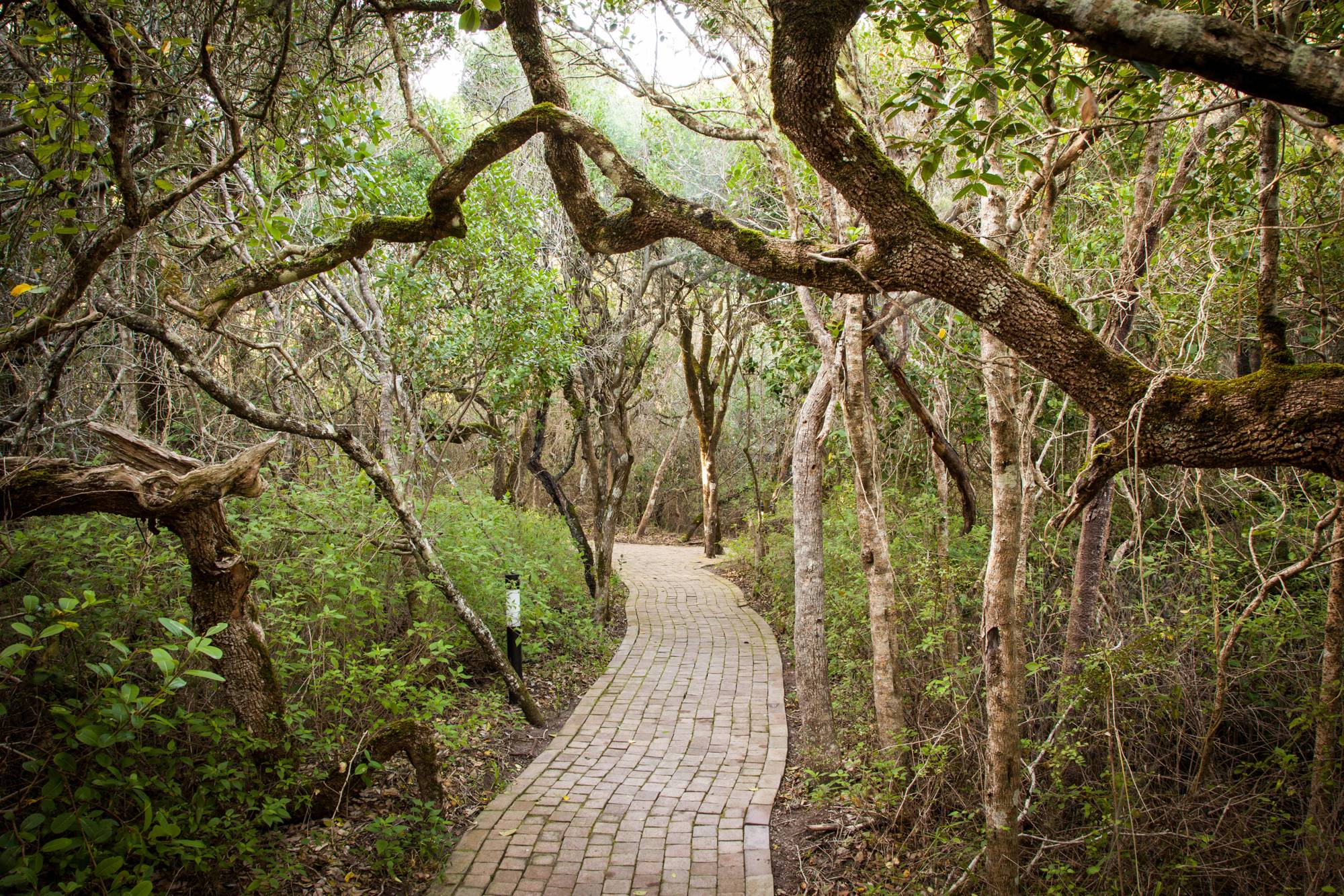 Grootbos Forest Lodge