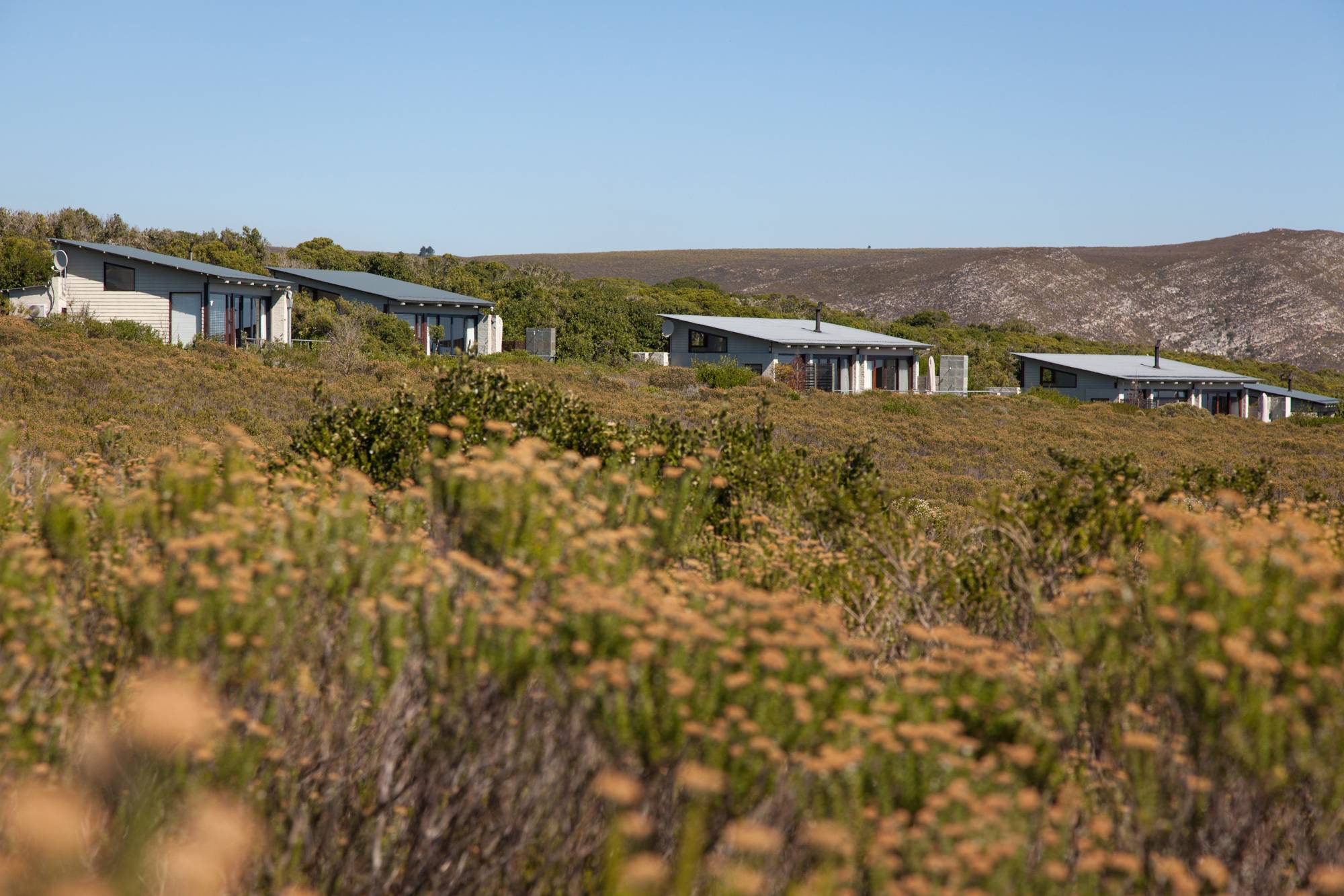 Grootbos Forest Lodge