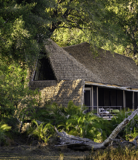 Wilderness Jao Camp