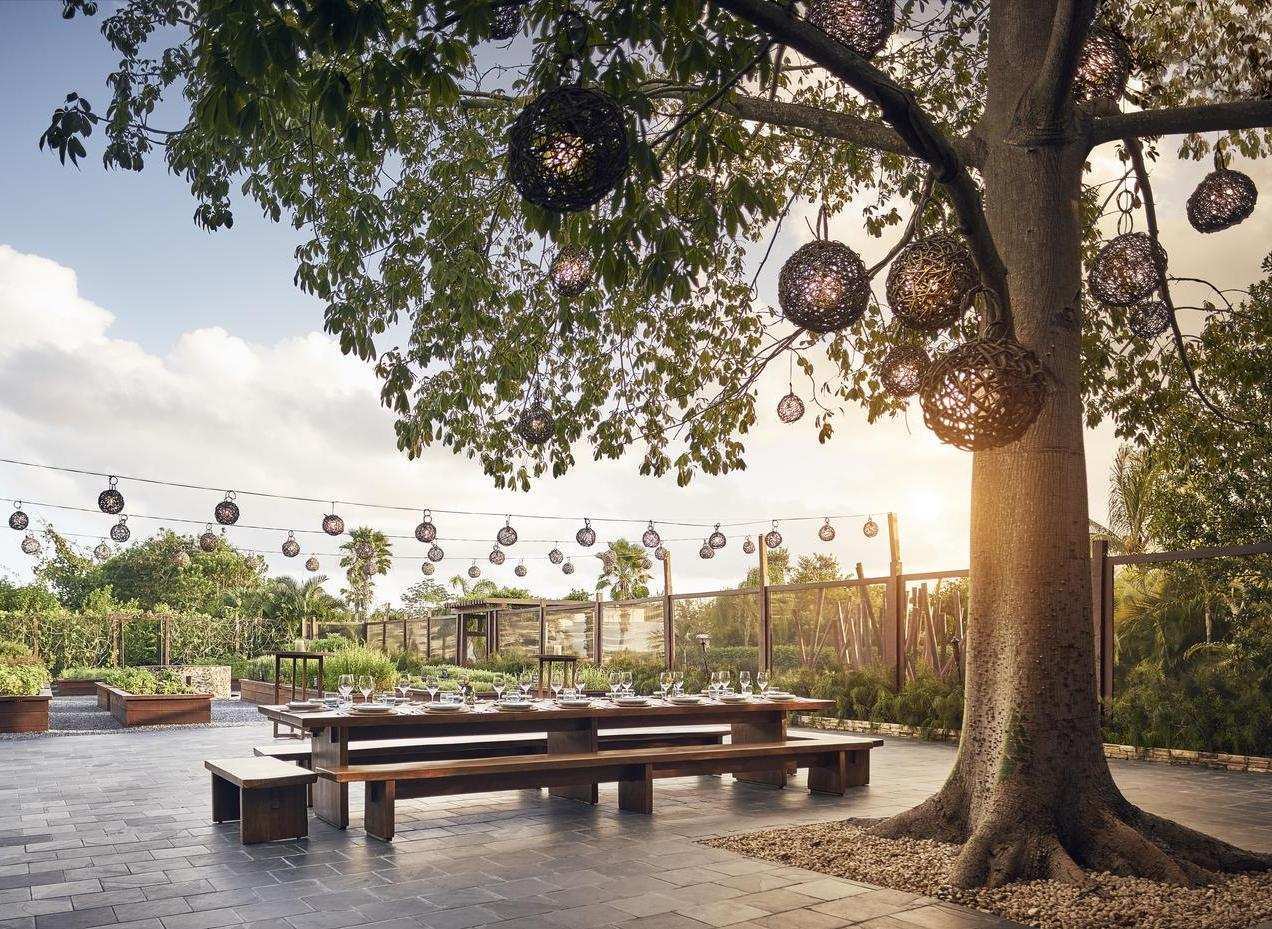 La Ceiba dining experience at Rosewood Mayakoba, featuring communal tables under a ceiba tree.