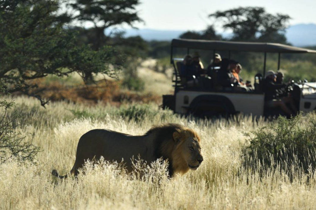 Tswalu Kalahari Reserve