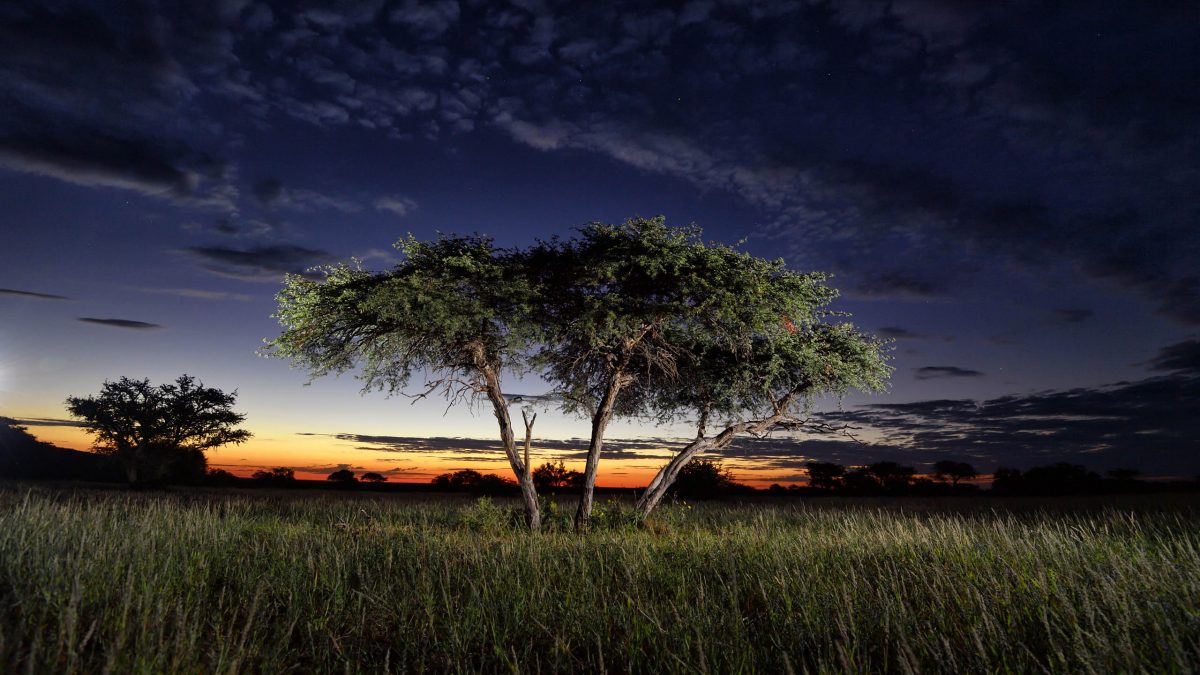 Tswalu Kalahari Reserve