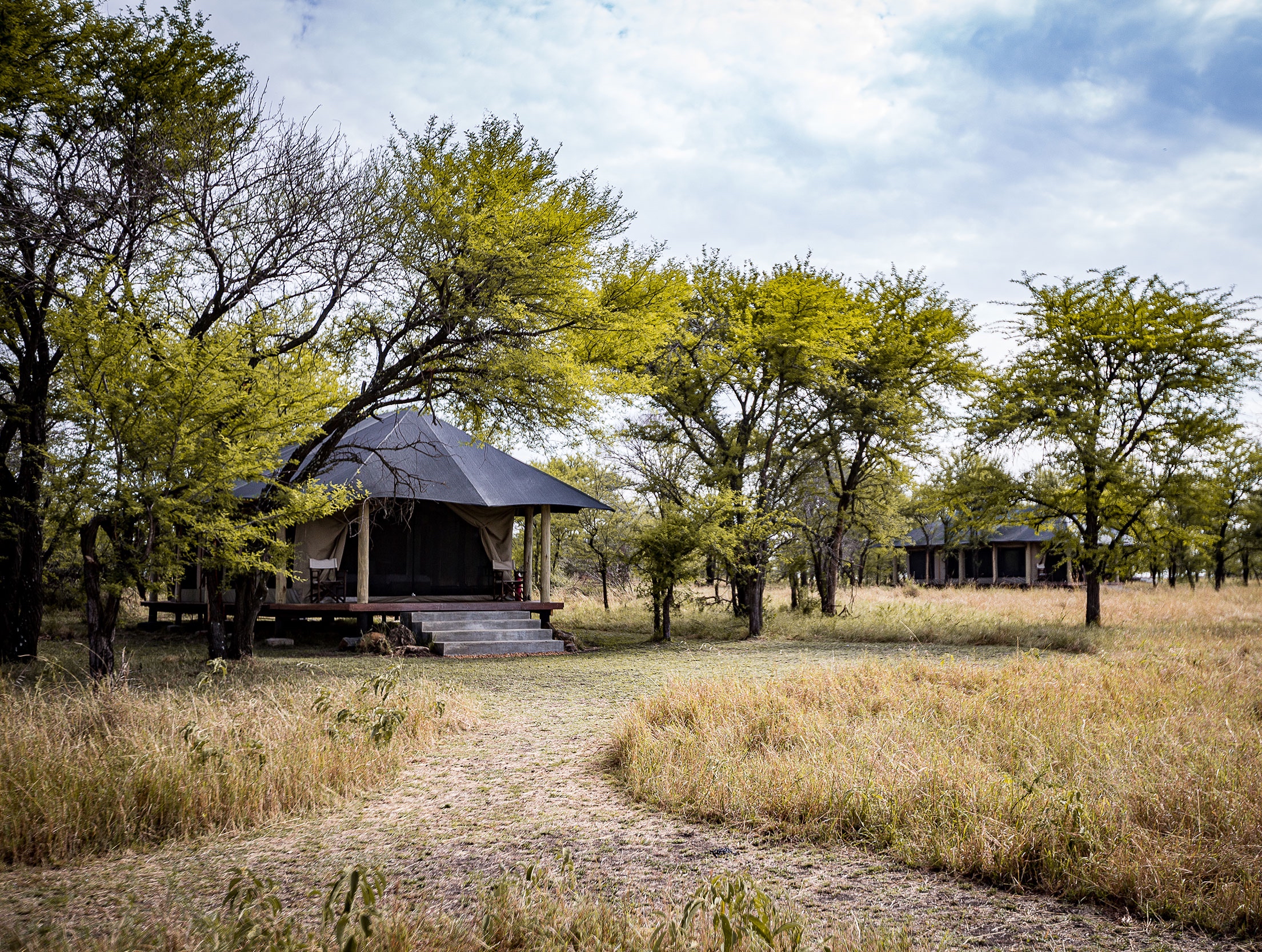 Lamai Serengeti