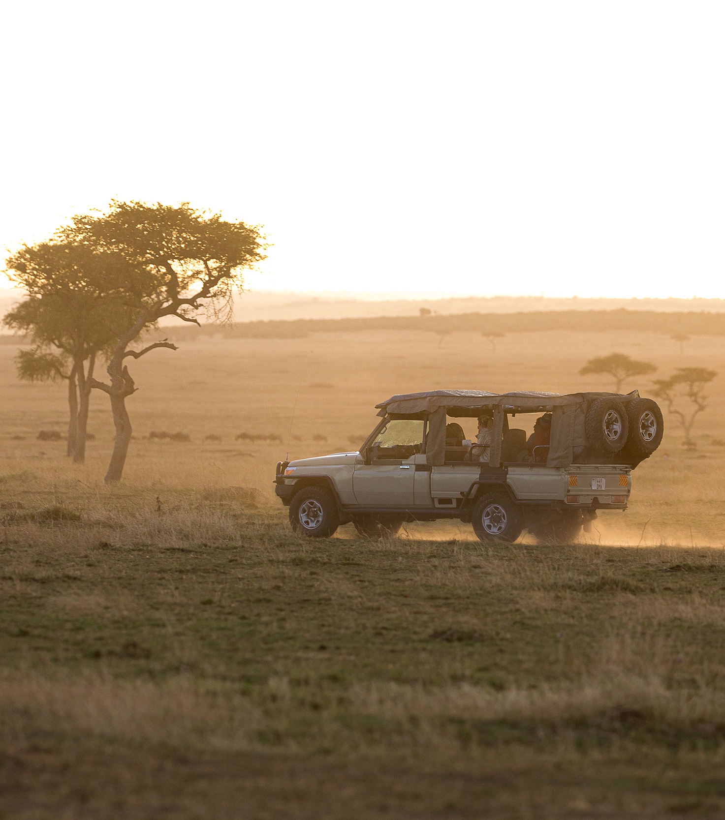 Lamai Serengeti