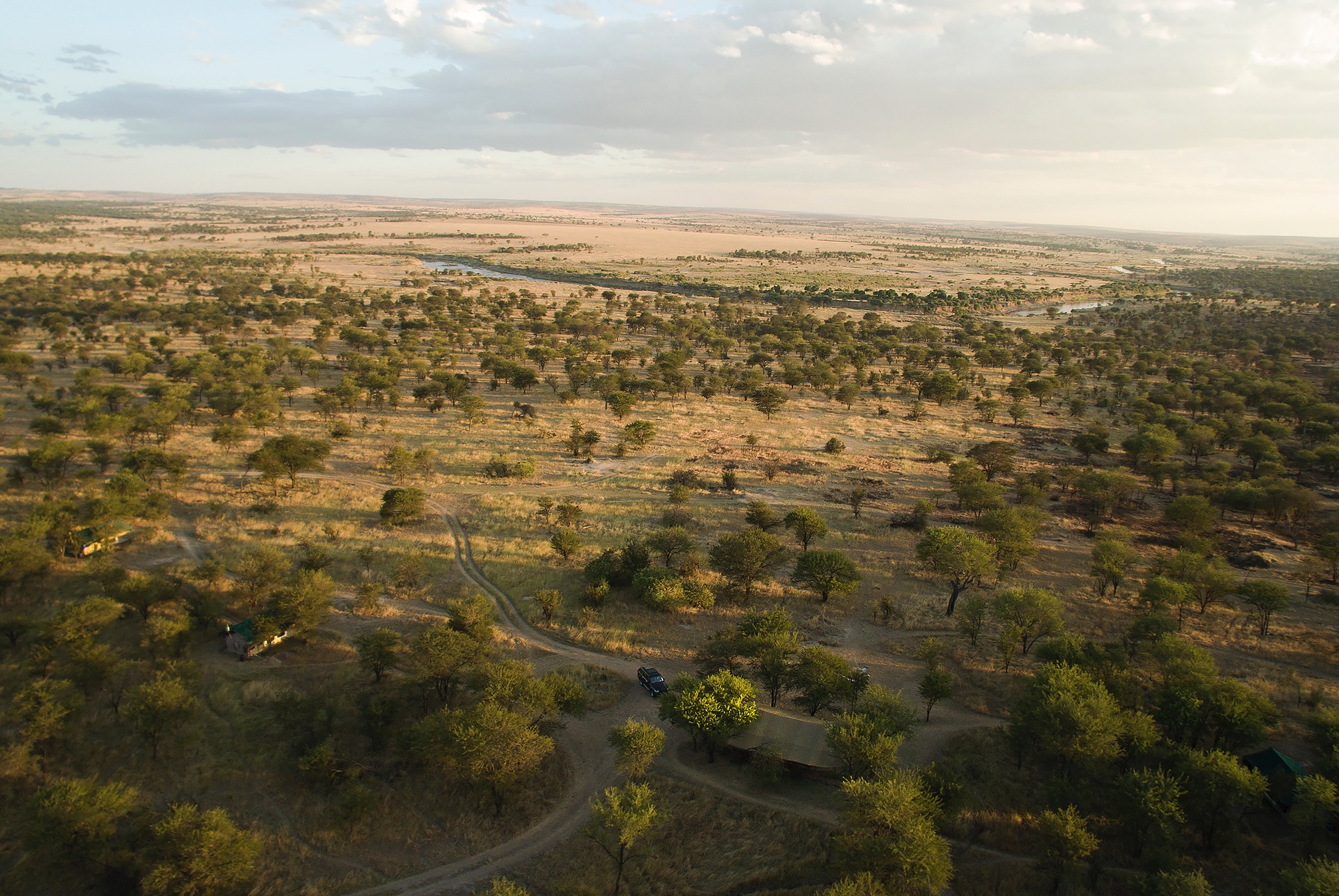 Lamai Serengeti