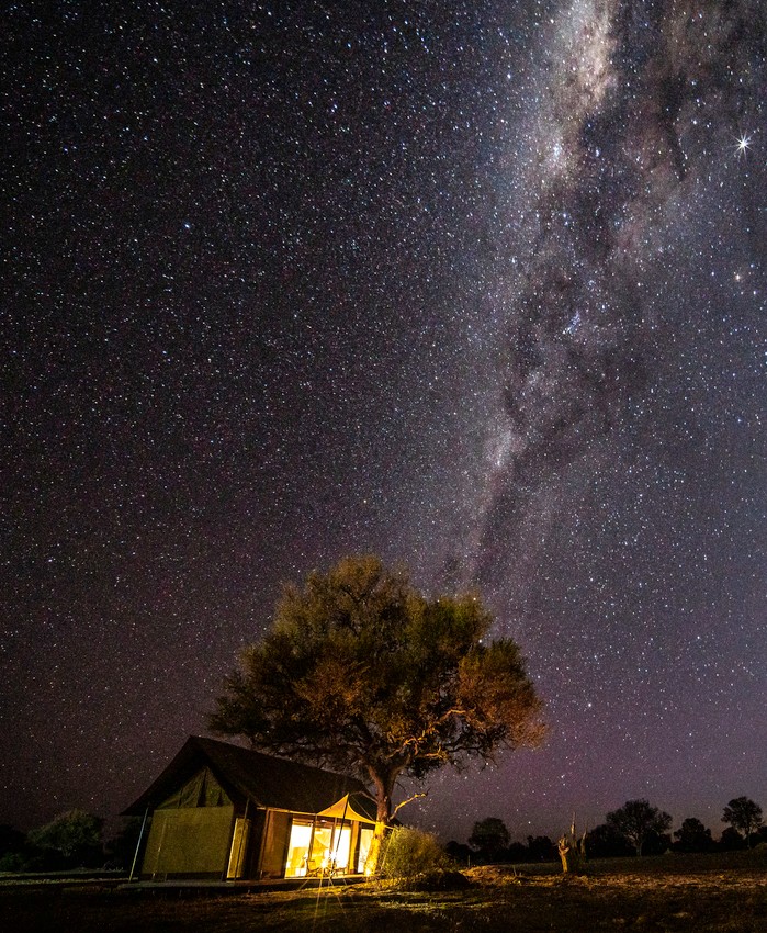 Wilderness Linkwasha Camp