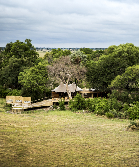 Wilderness Mombo Camp