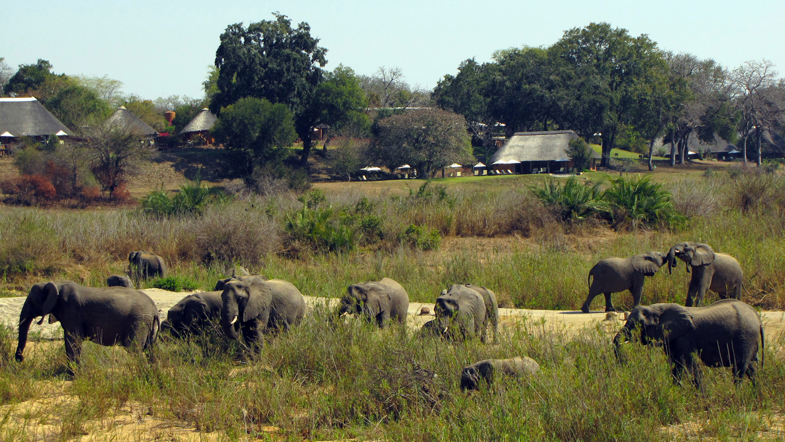 MalaMala Camp